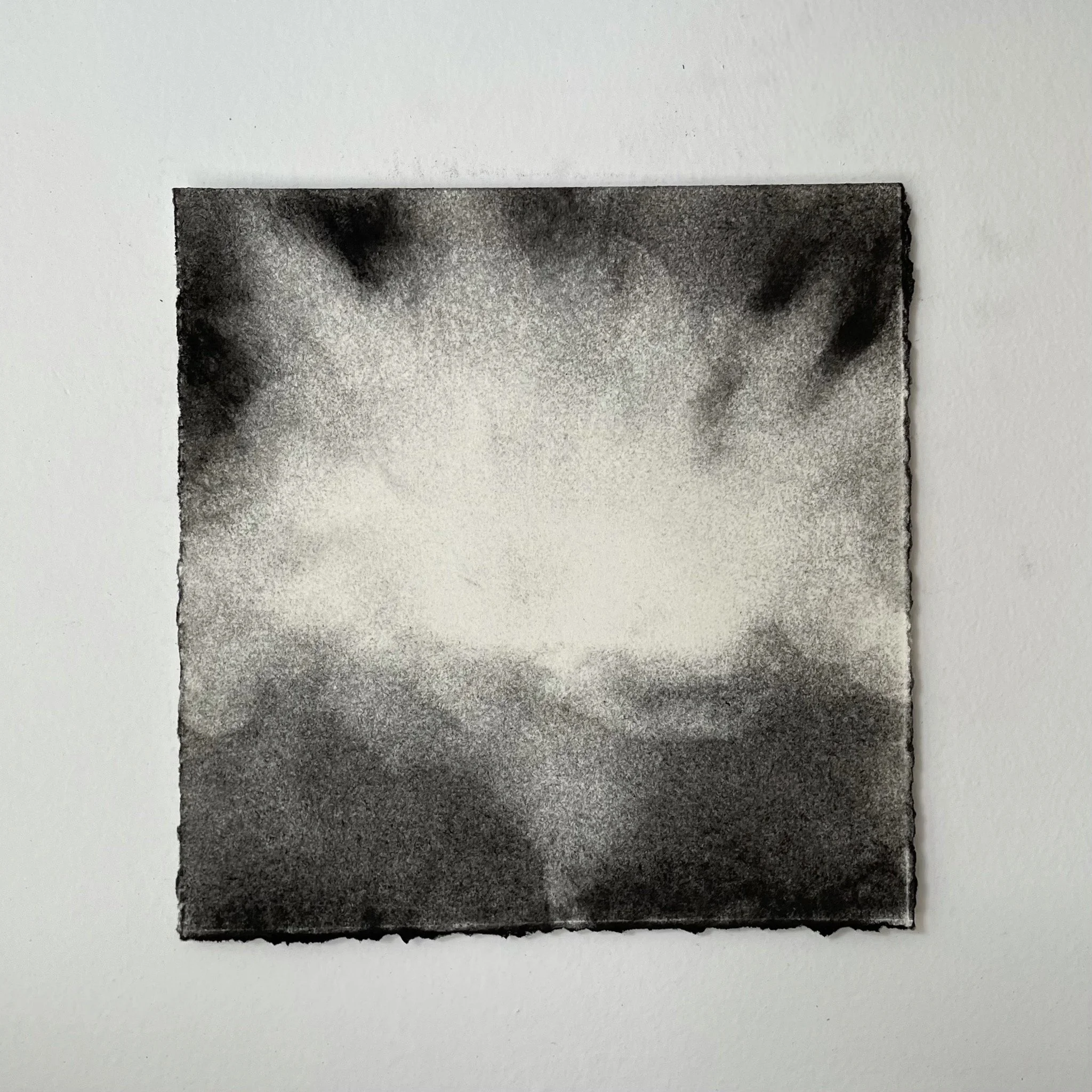  Virtual Garden Day 49  
2021 
charcoal on paper 
5" X 5"