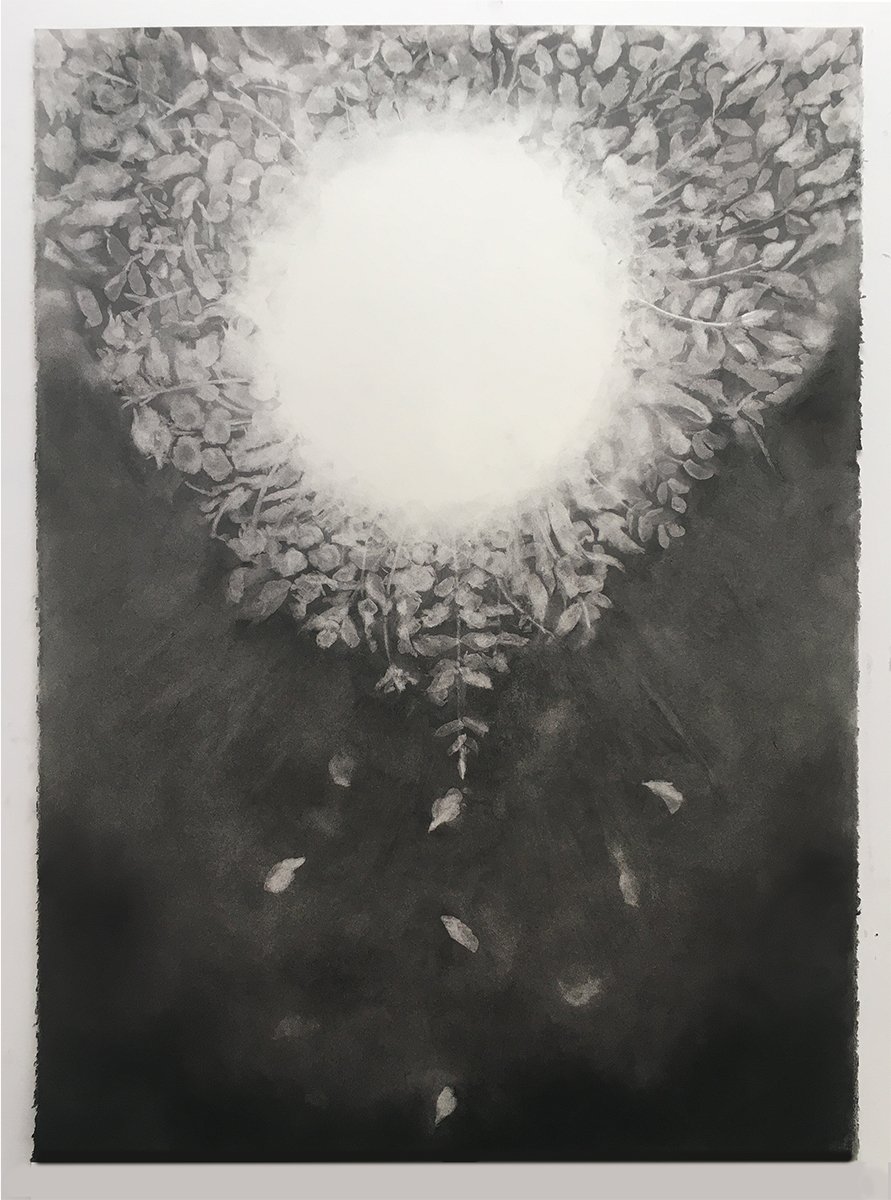  Full Flower Moon   
2020 
charcoal on paper 
33 x 22 inches