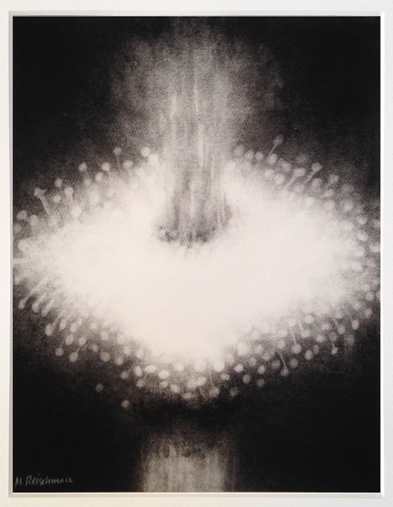  Chick-a Boom   
2017
14 in x 11 in  
charcoal on paper  
(sold)