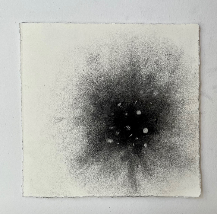  Virtual Garden Day 44  
2021 
charcoal on paper 
5" X 5"