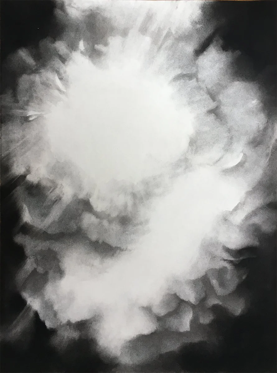  White Rose  
2019 
charcoal on paper 
30 x 22 inches