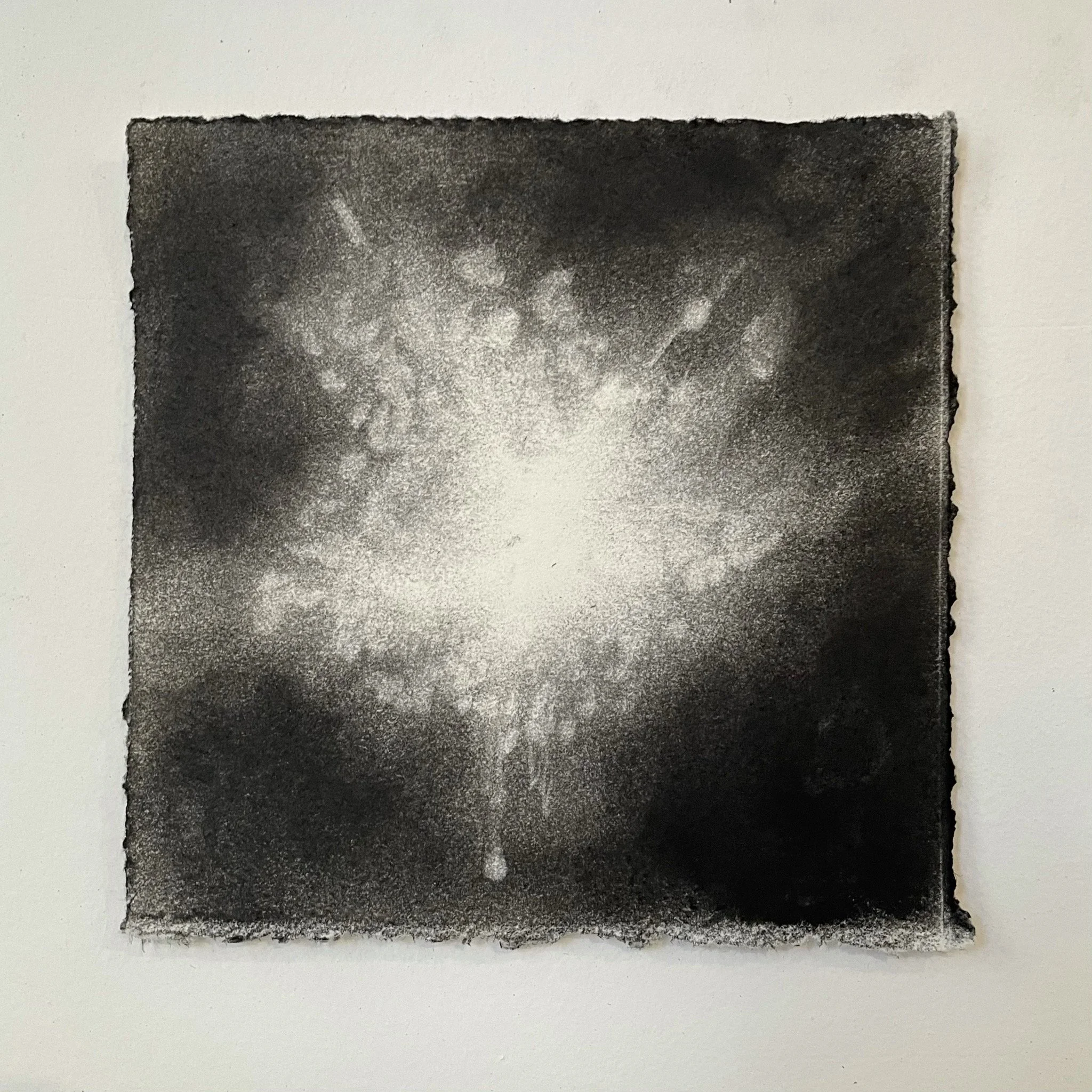  Virtual Garden Day 45  
2021 
charcoal on paper 
5" X 5"