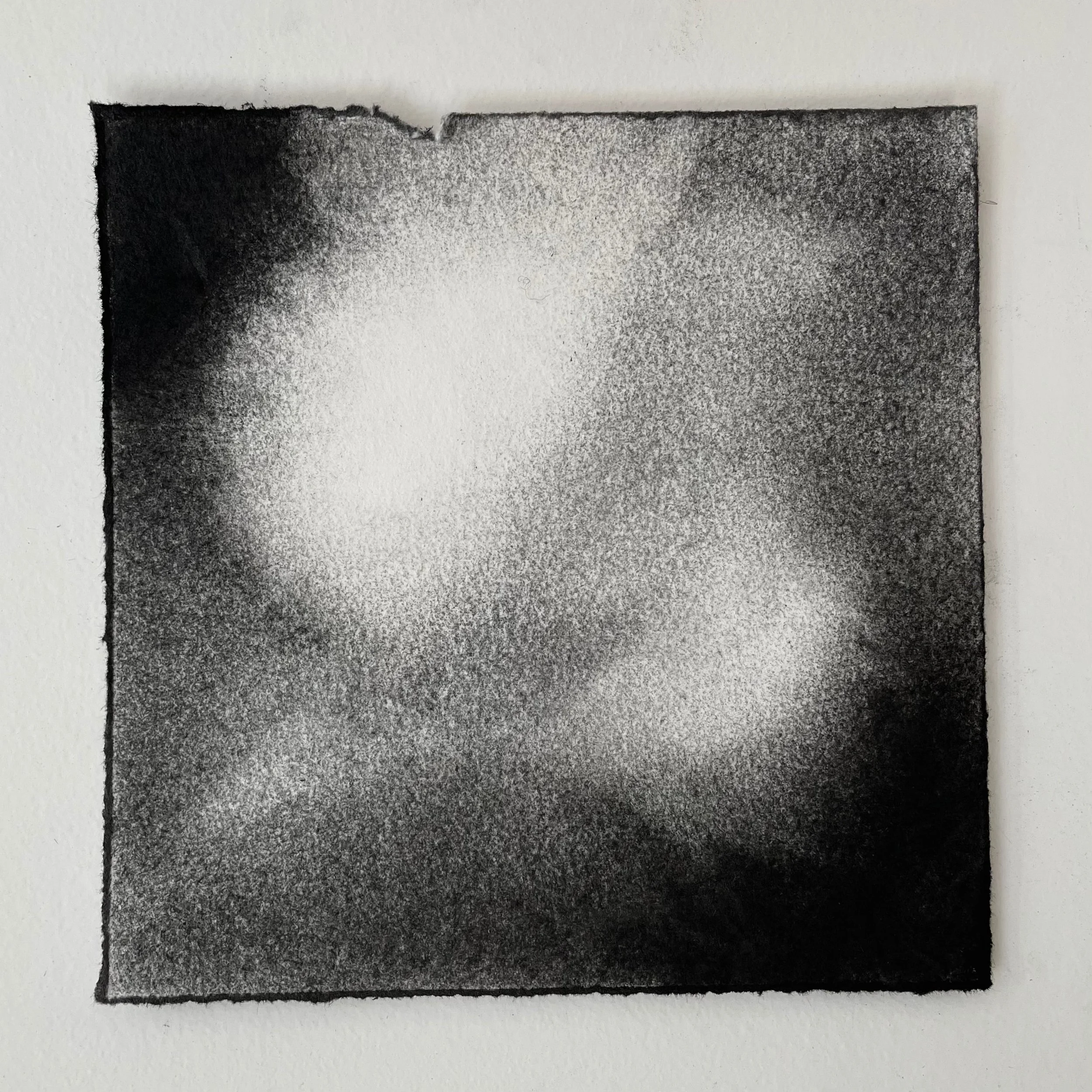  Virtual Garden Day 13  
2021 
charcoal on paper 
5" X 5"