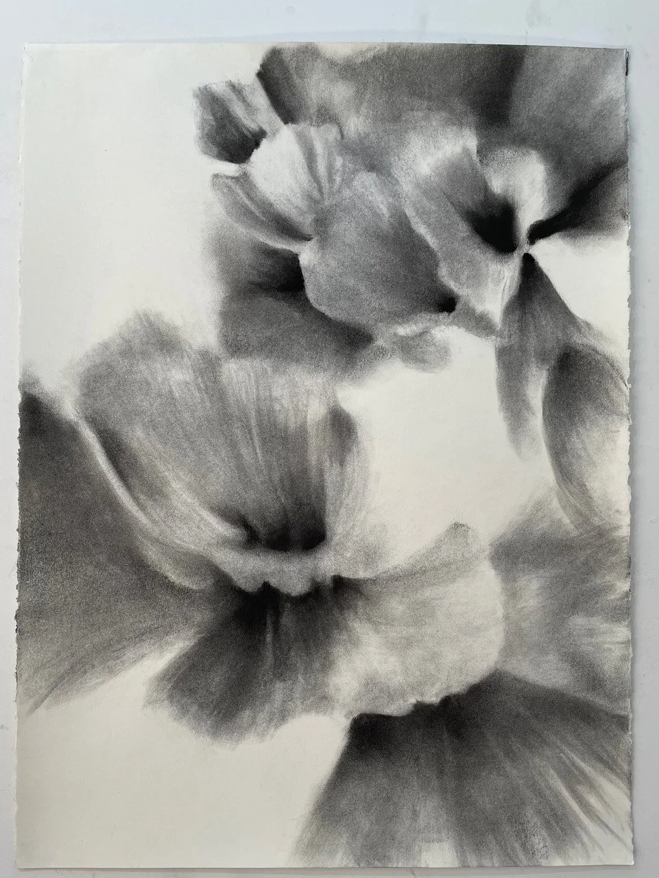  A Call to the Past  
2022 
charcoal on paper 
30 x 22 inches