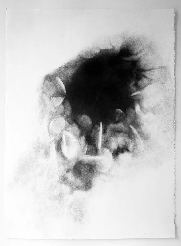  Untitled Portla No. 2  
2018 
charcoal on paper 
30 x 22 inches