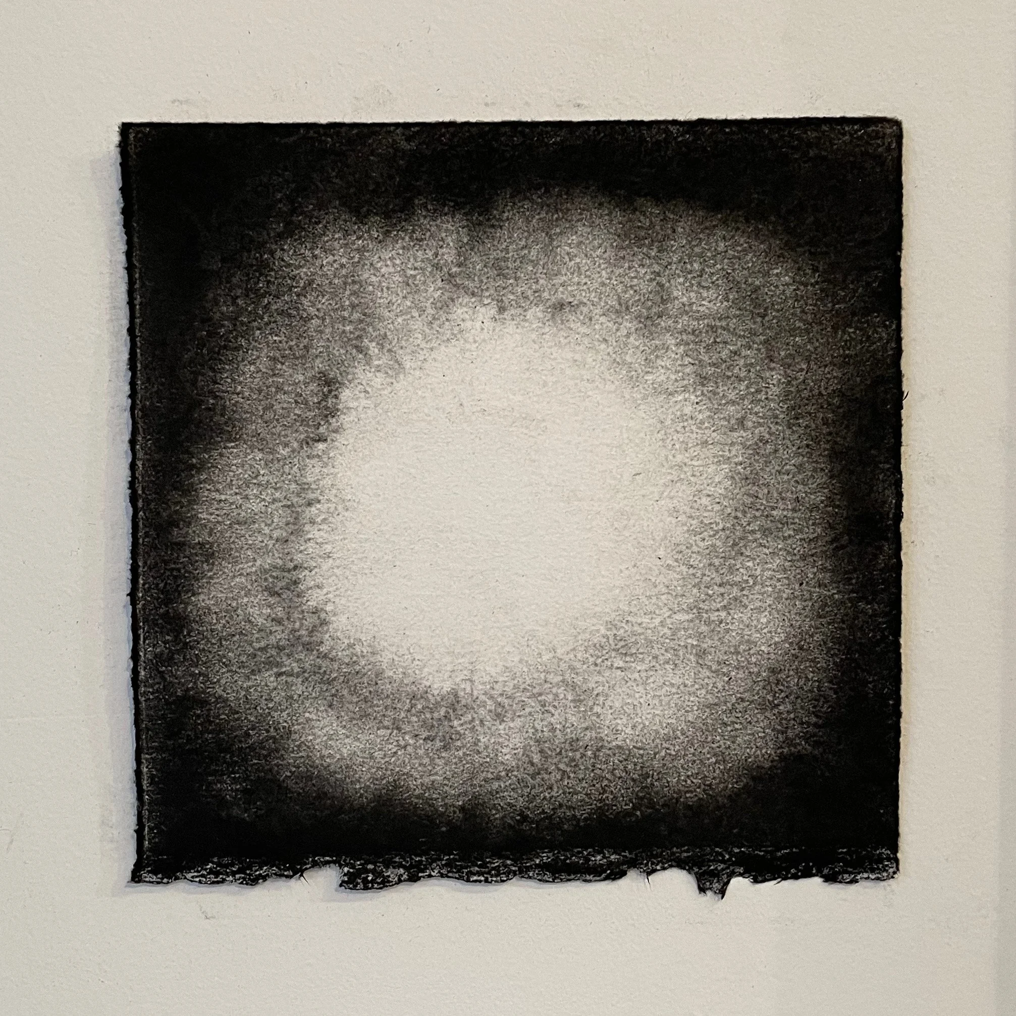  Virtual Garden Day 25  
2021 
charcoal on paper 
5" X 5"