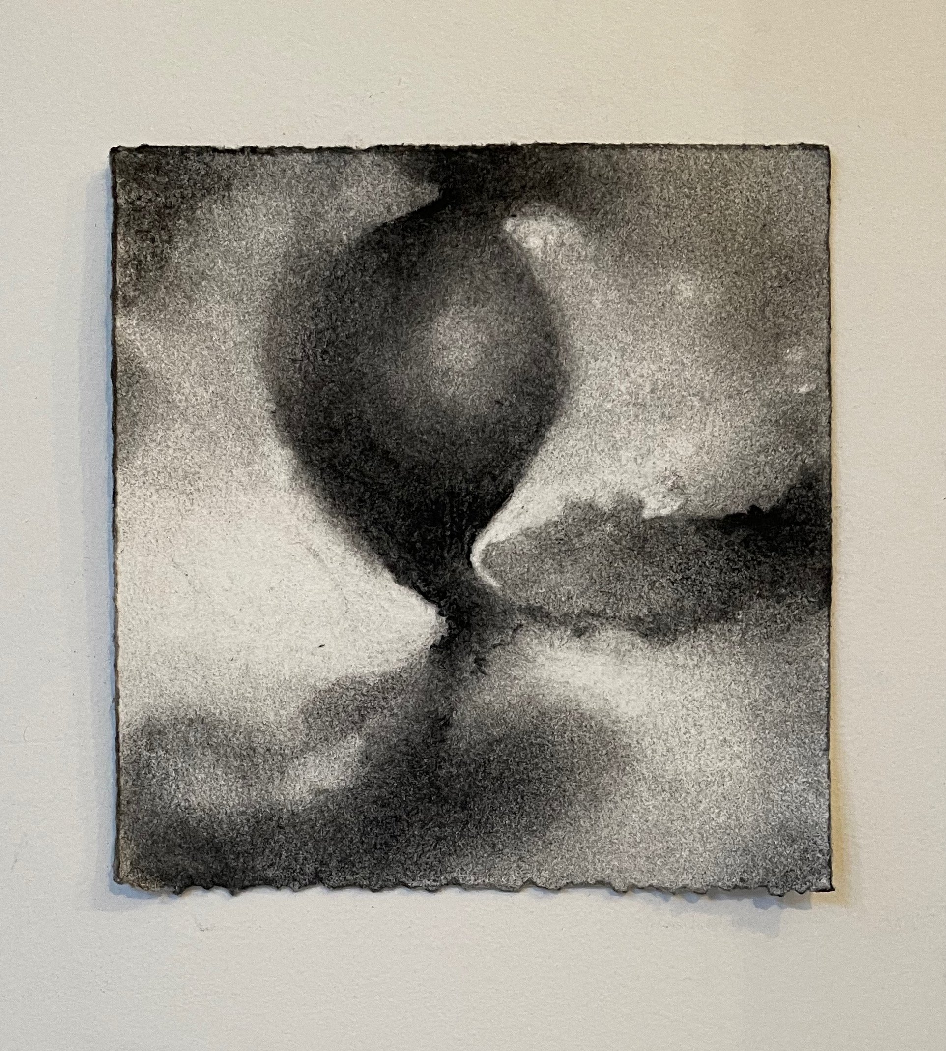  Virtual Garden Day 22  
2021 
charcoal on paper 
5" X 5"