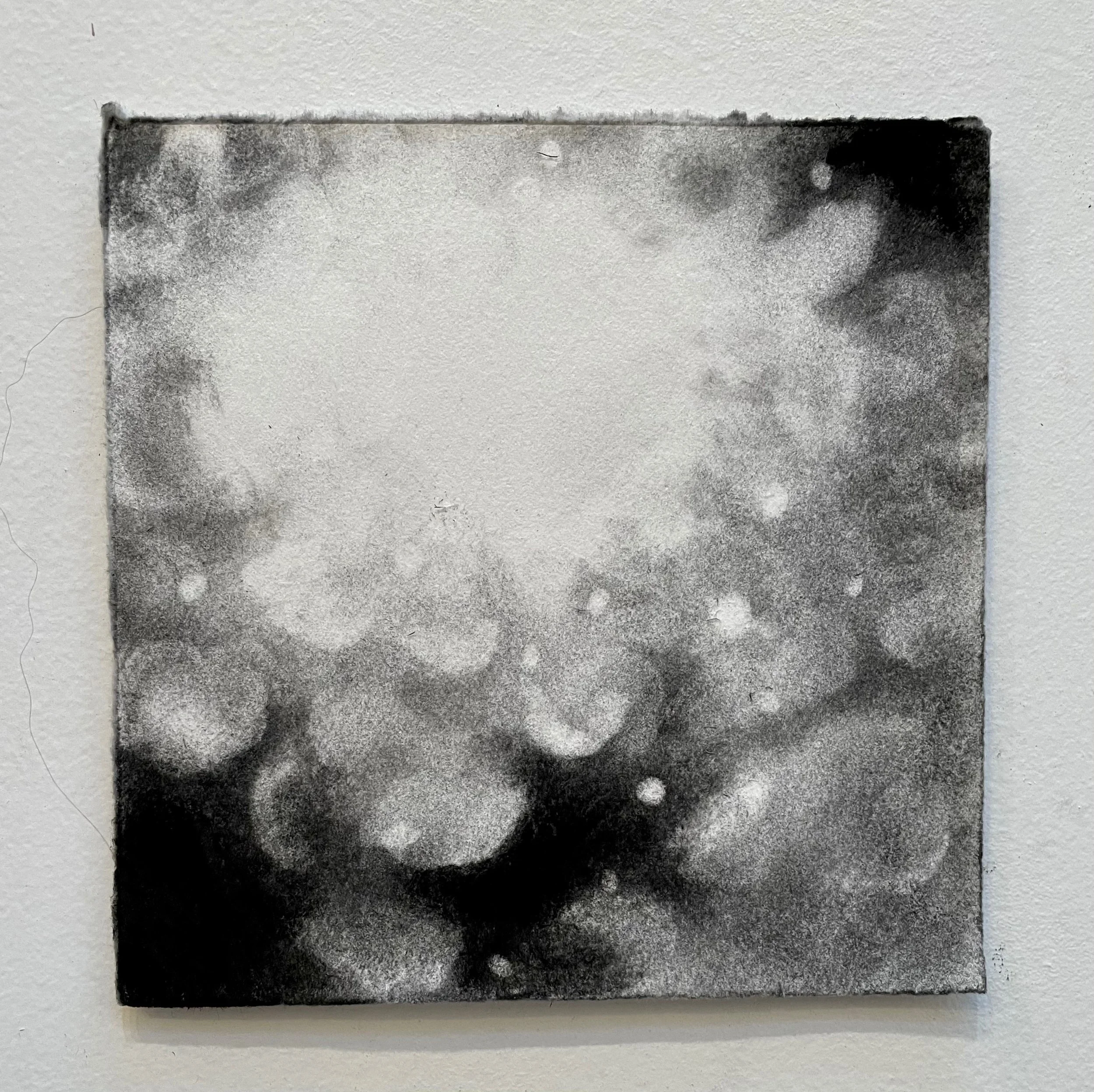  Virtual Garden Day 5  
2021 
charcoal on paper 
5" X 5"