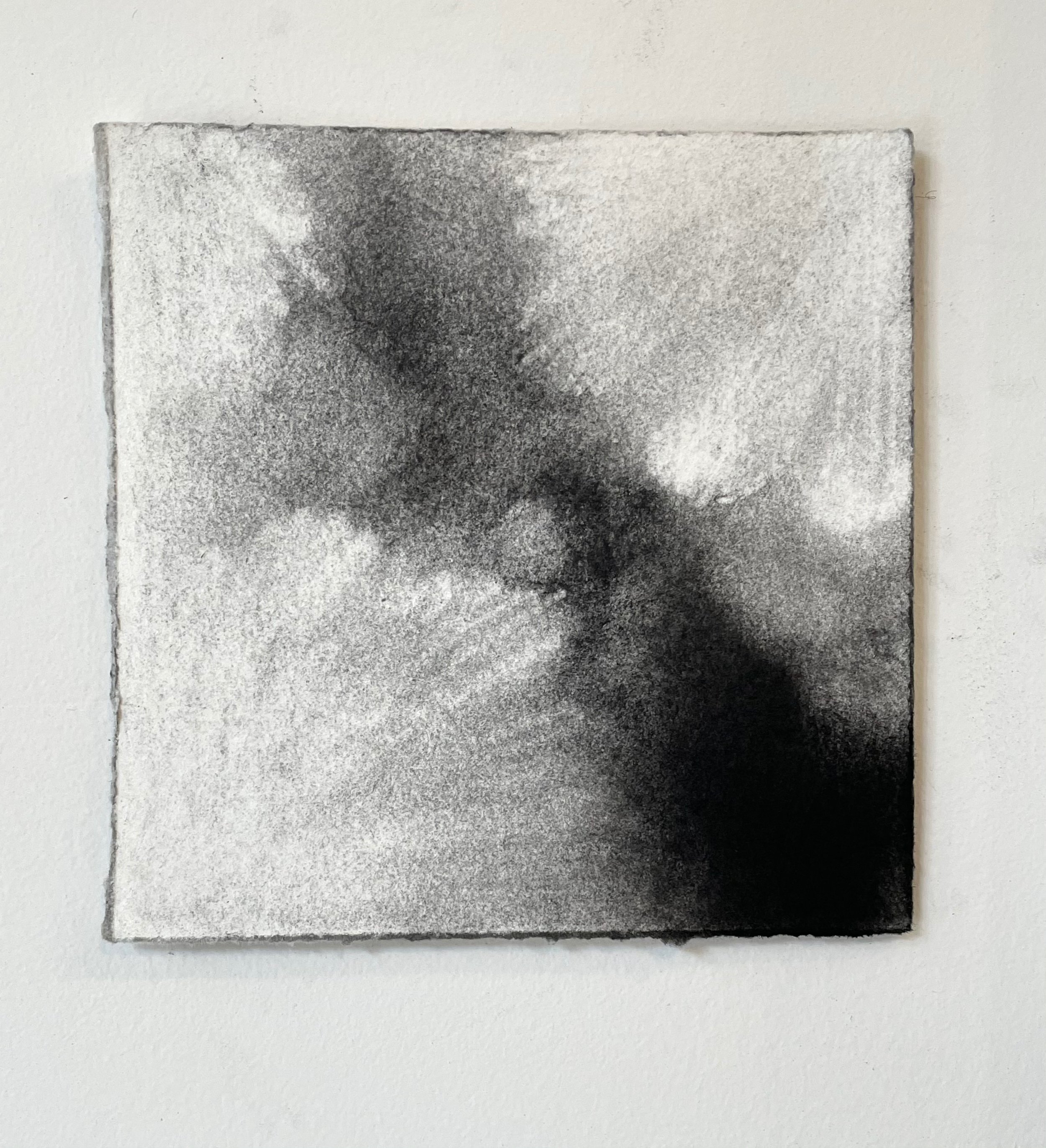  Virtual Garden Day 11  
2021 
charcoal on paper 
5" X 5"