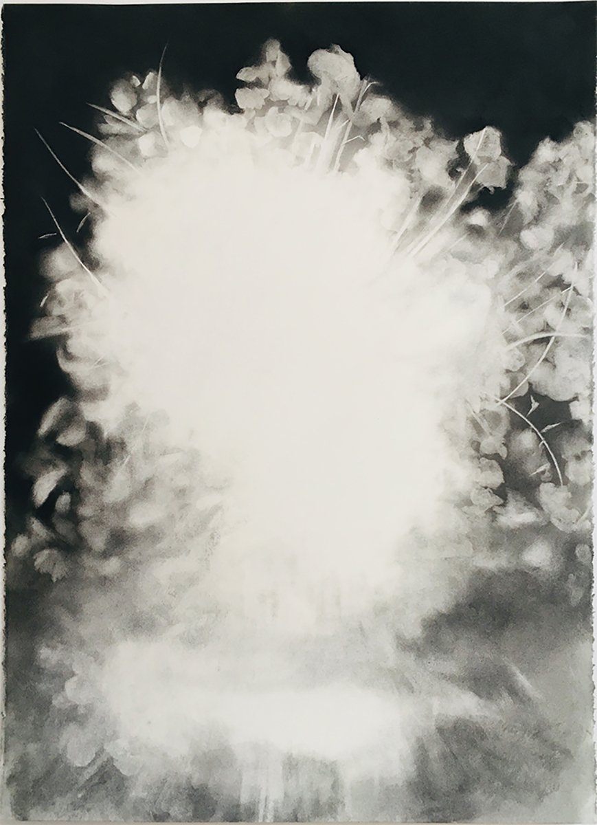  Burning Bush No. 1  
2020 
charcoal on paper 
30 x 22 inches