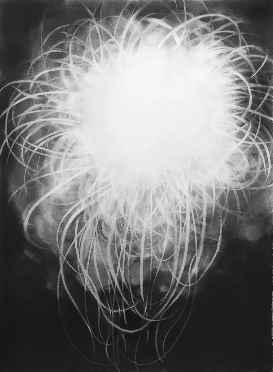  Wisp  
2019 
charcoal on paper 
30 x 22 inches
