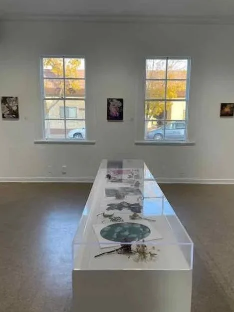 installation shot of Sensory Perceptions in the gallery.