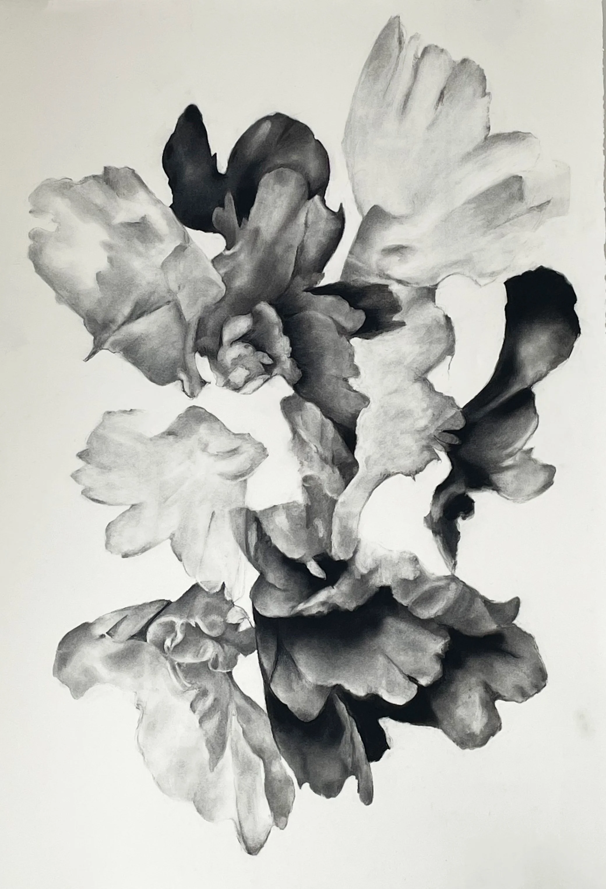  A Hot Mess  
2025  
charcoal on paper  
44  x 30 inches