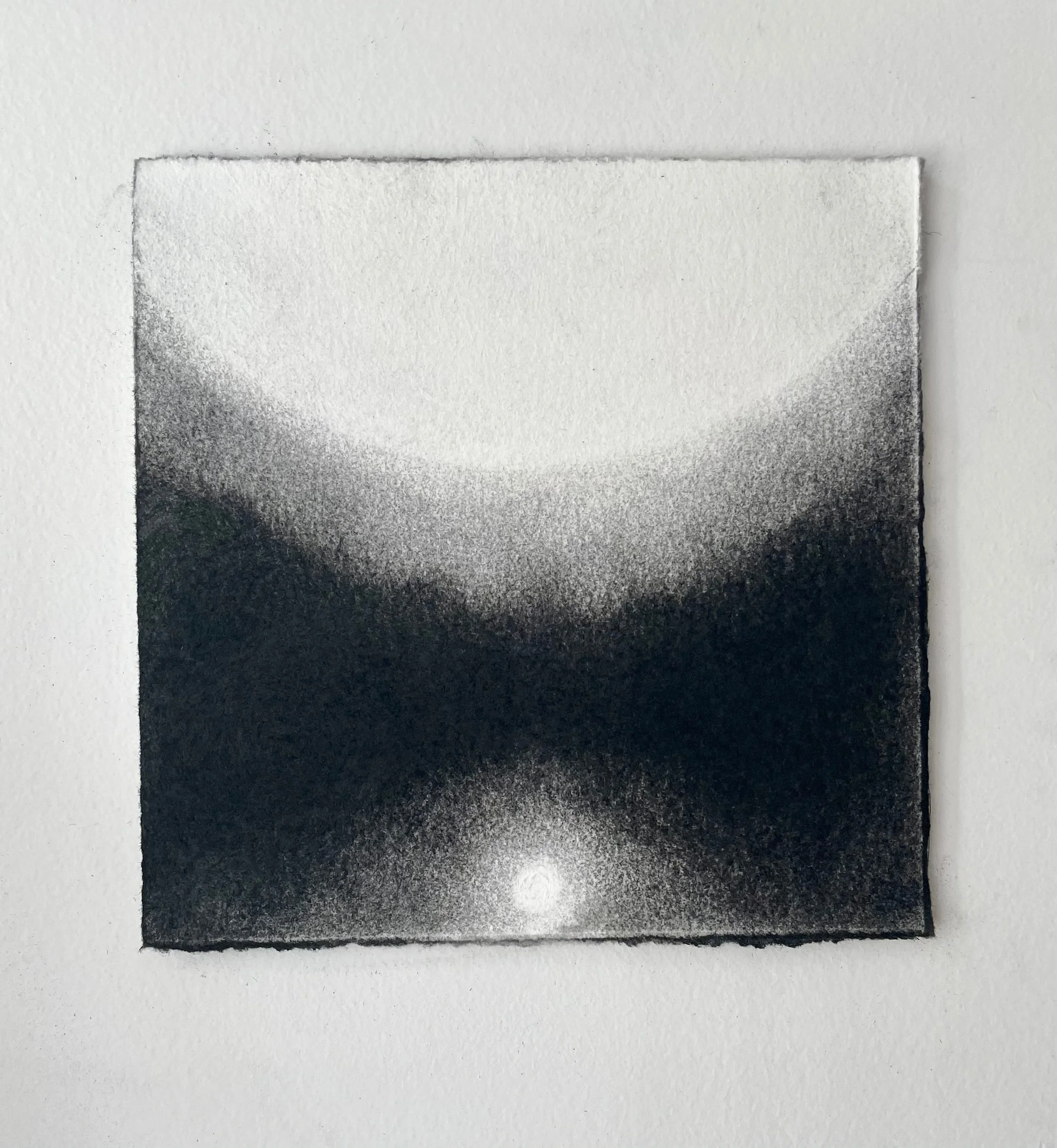 Virtual Garden Day 19  
2021 
charcoal on paper 
5" X 5"