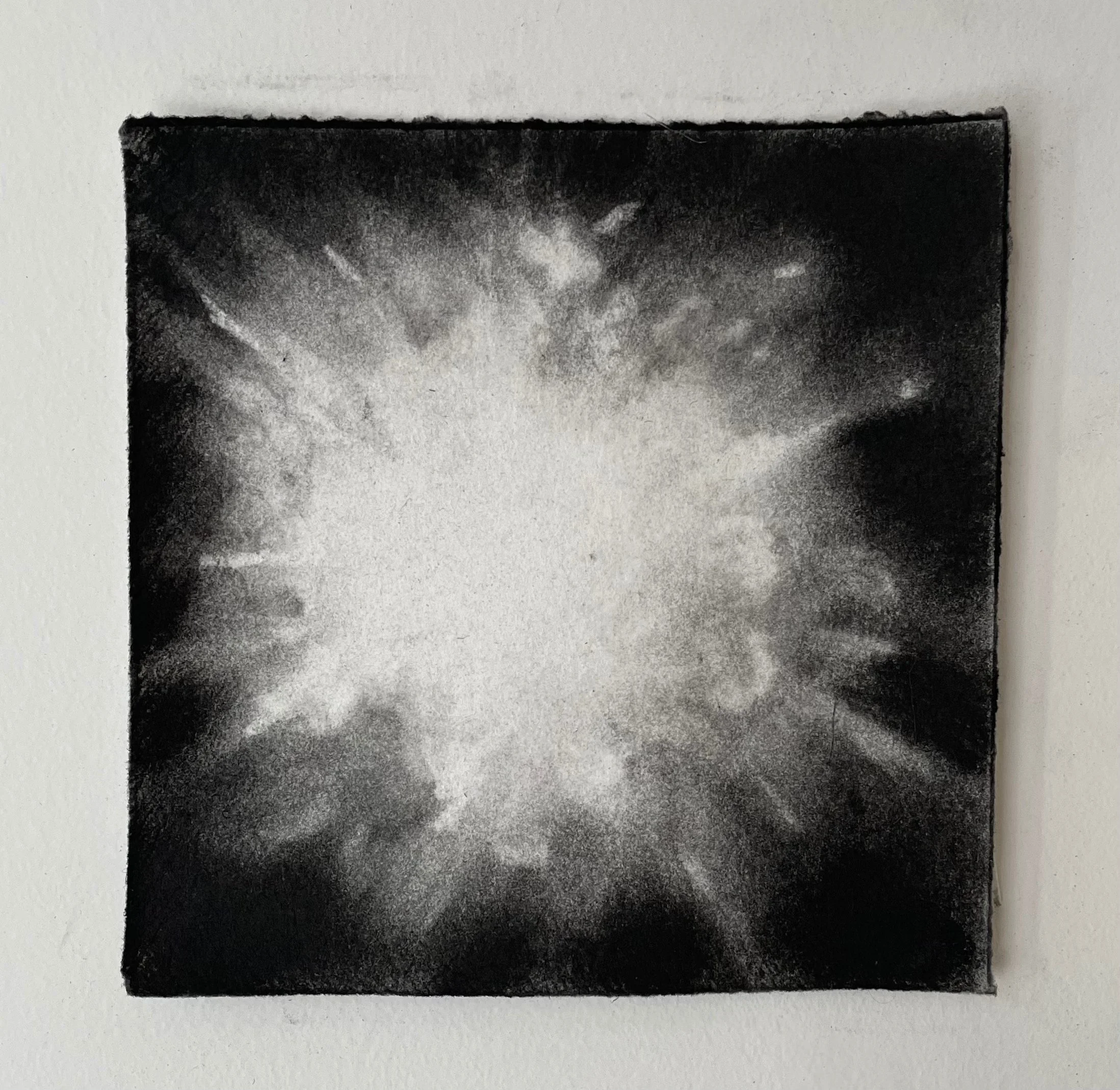  Virtual Garden Day 28  
2021 
charcoal on paper 
5" X 5"