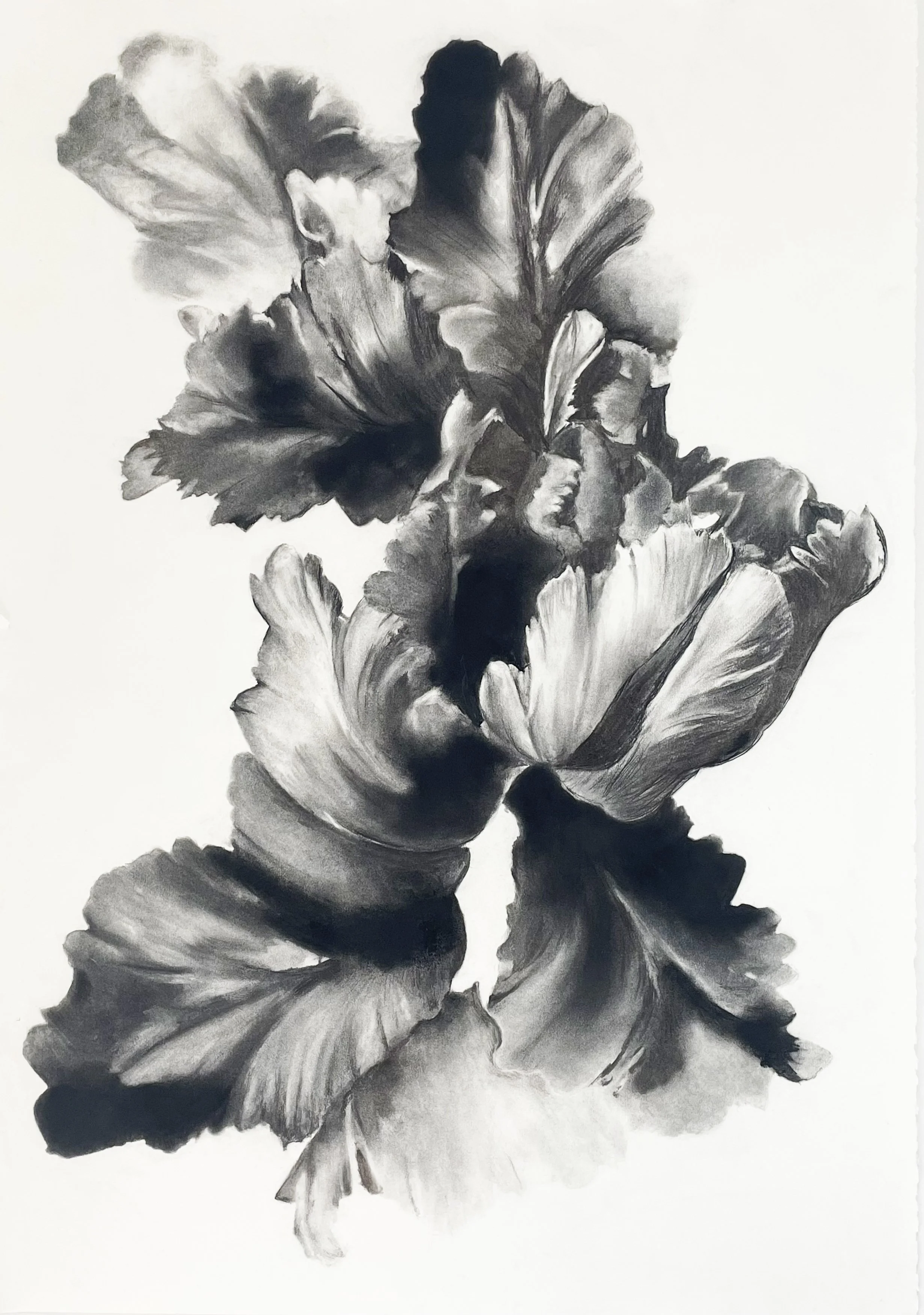 Drawings