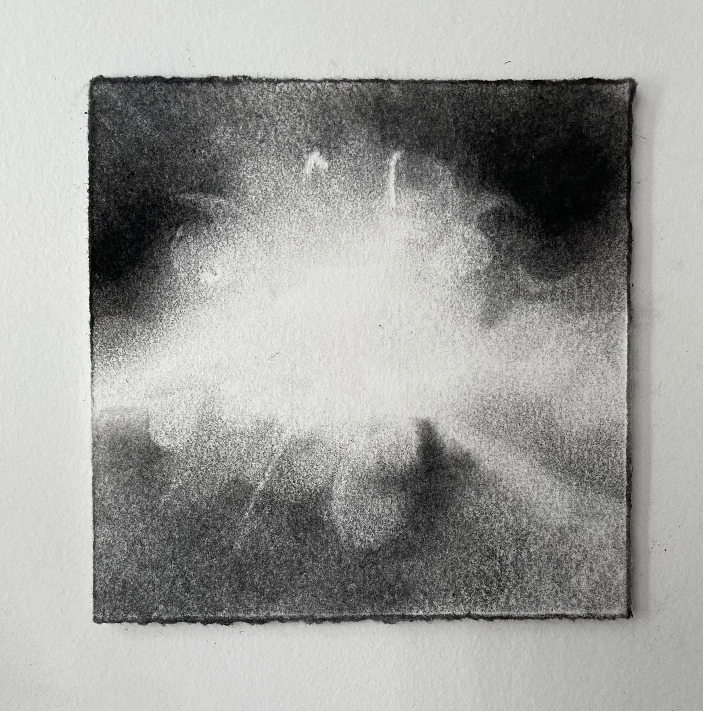  Virtual Garden Day 18  
2021 
charcoal on paper 
5" X 5"