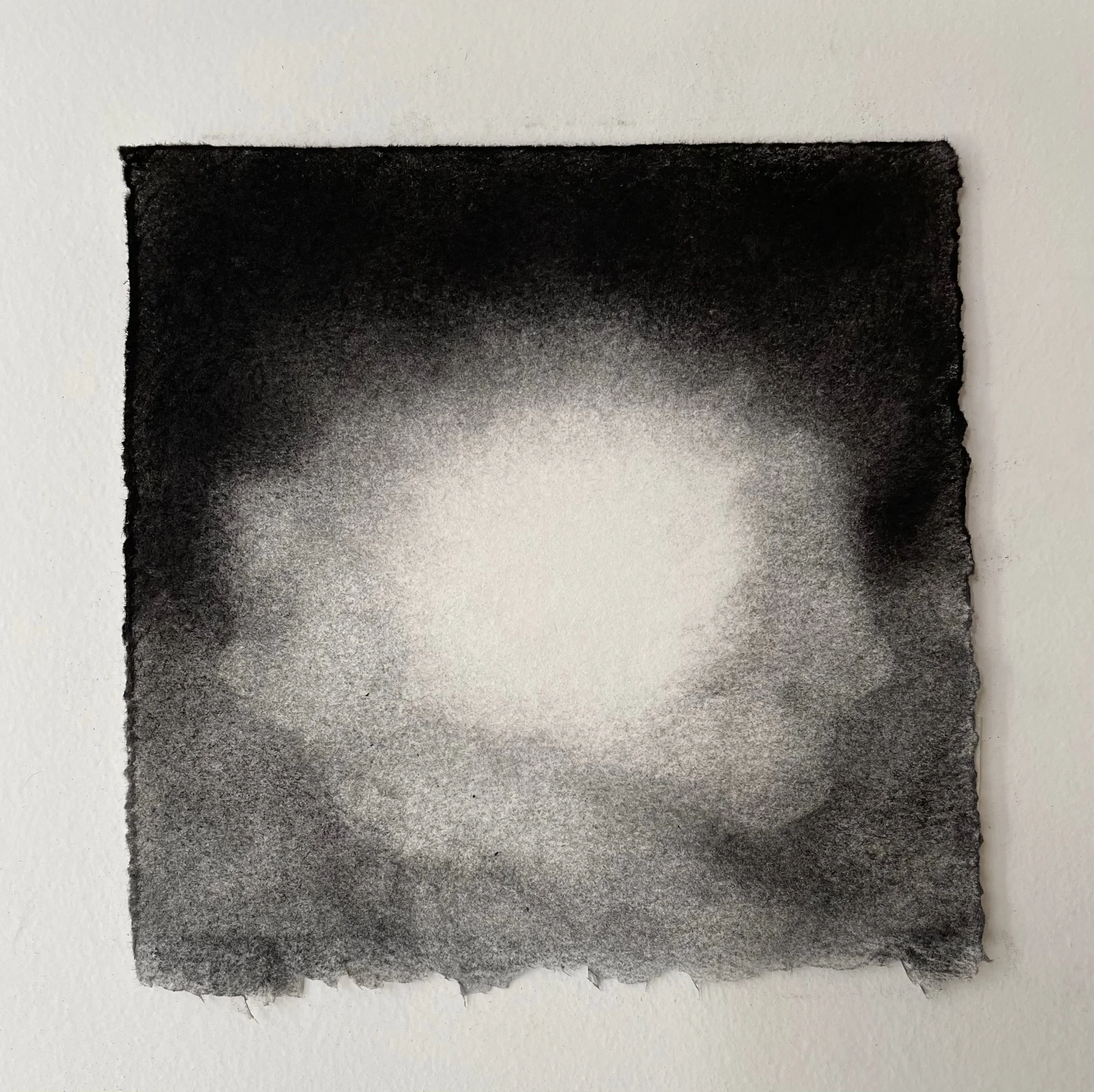  Virtual Garden Day 23  
2021 
charcoal on paper 
5" X 5"