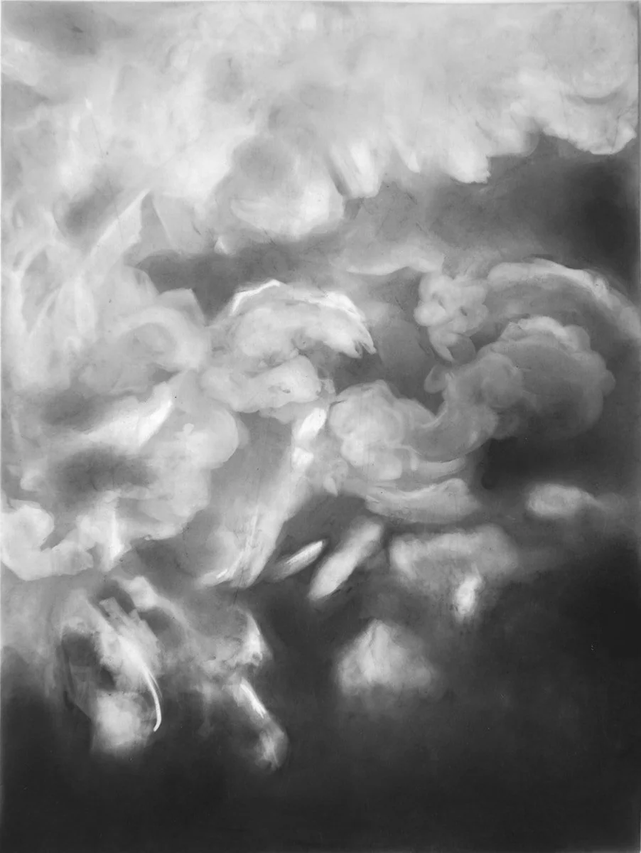  Wings fo Desire  
2019 
charcoal on Duralar 
12 x 9 inches
