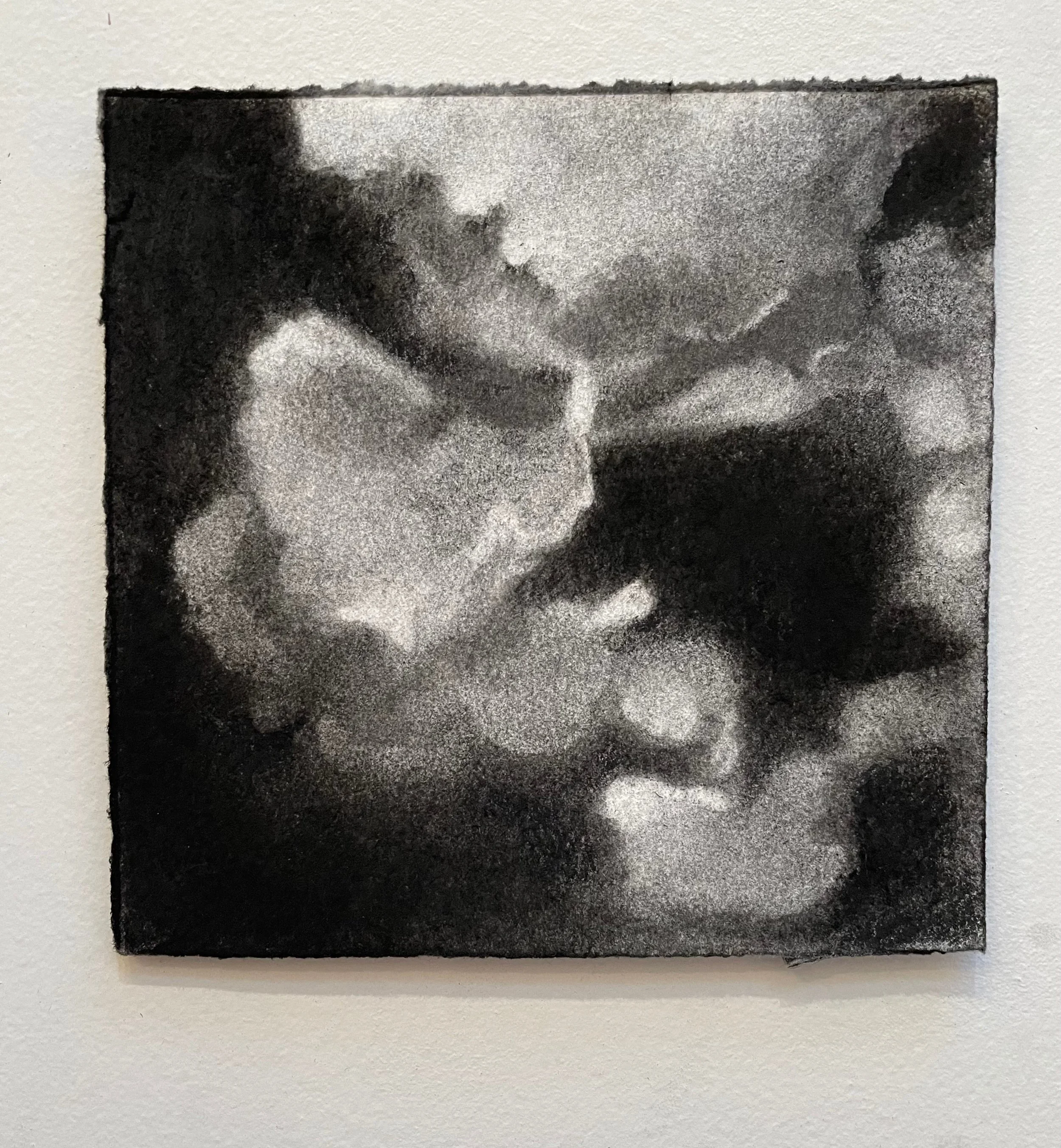  Virtual Garden Day 4  
2021 
charcoal on paper 
5" X 5" (10" X 10" framed)