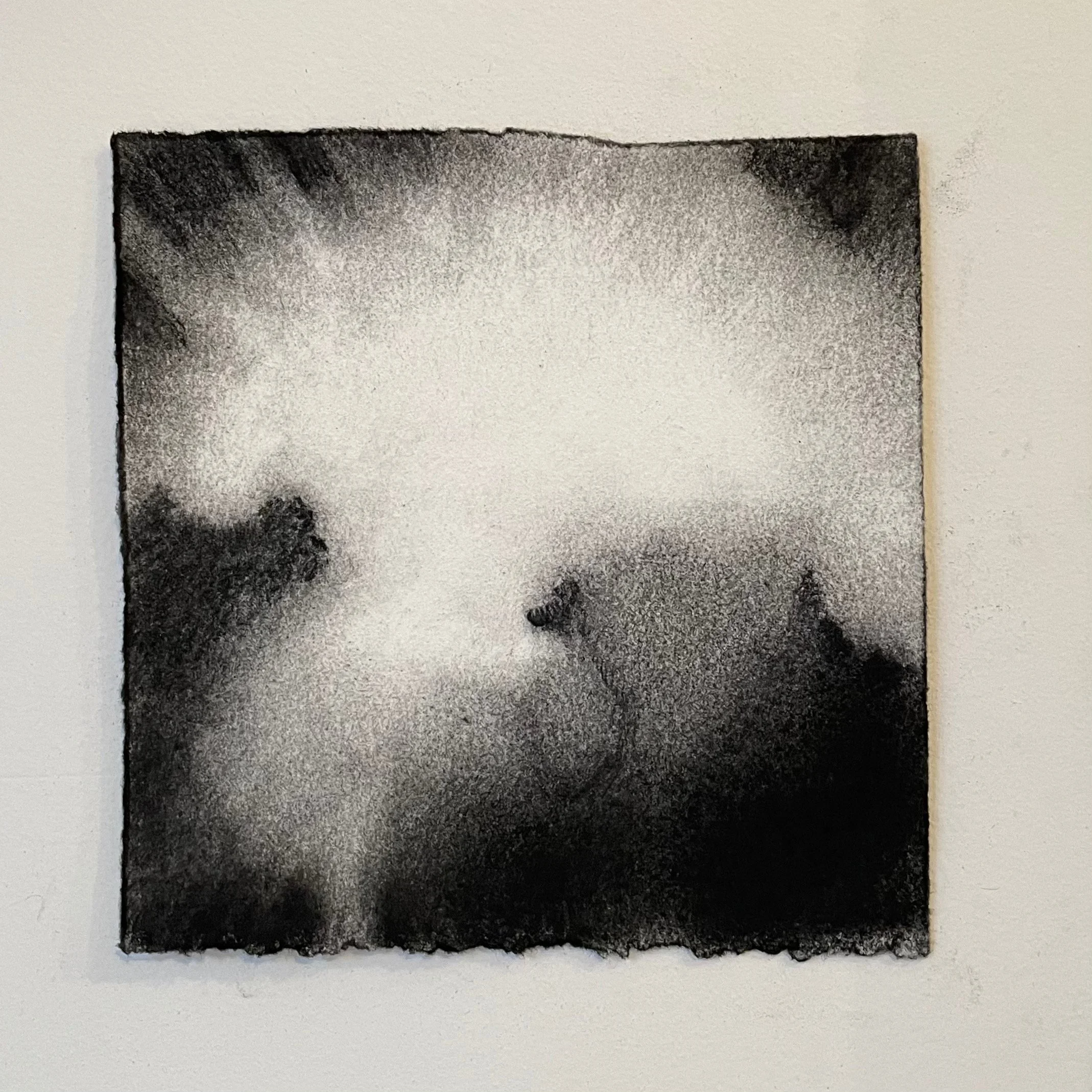  Virtual Garden Day 26  
2021 
charcoal on paper 
5" X 5"