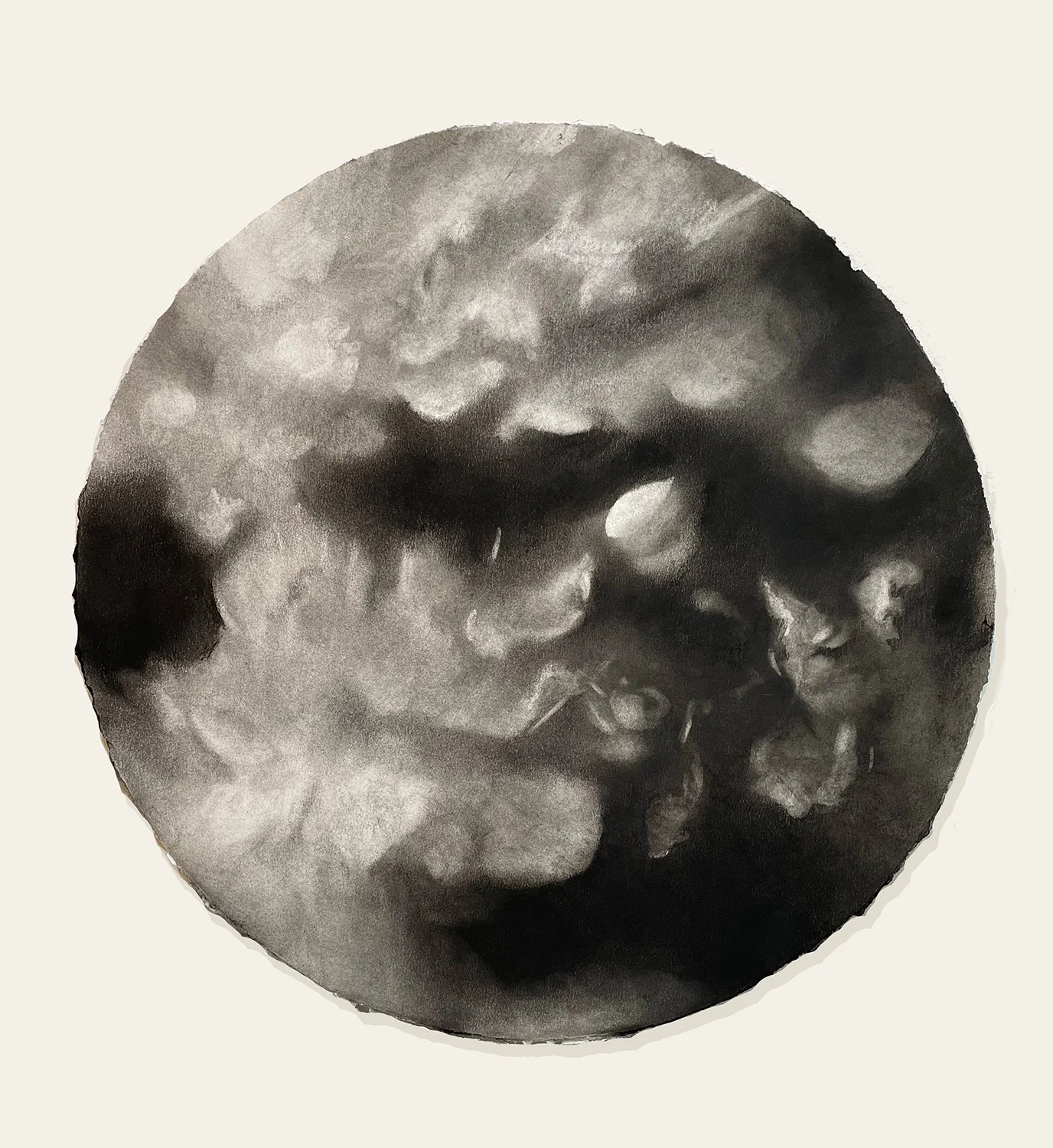  Back to the Garden  
2024 
charcoal on paper 
20 inches diameter 