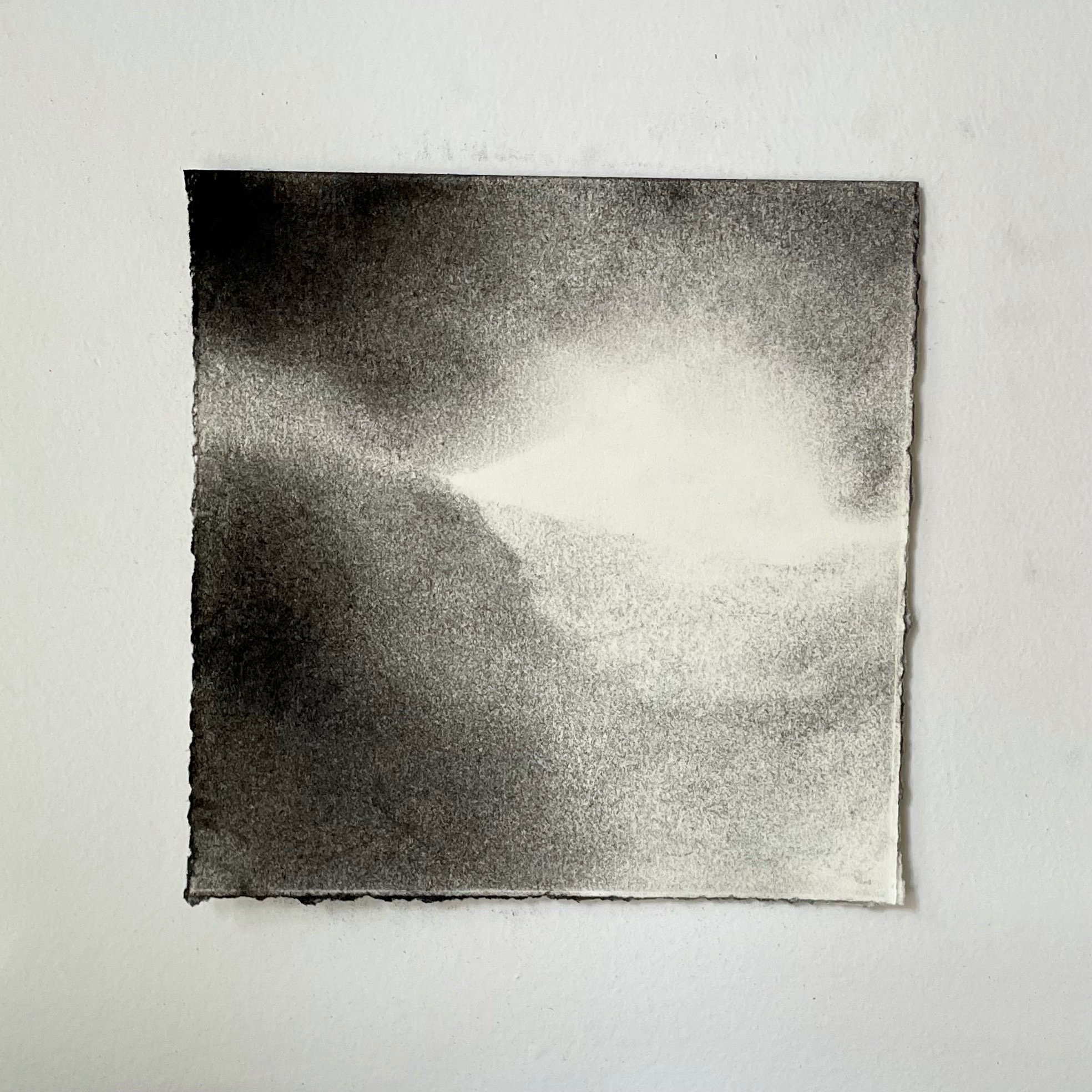  Virtual Garden Day 50  
2021 
charcoal on paper 
5" X 5"