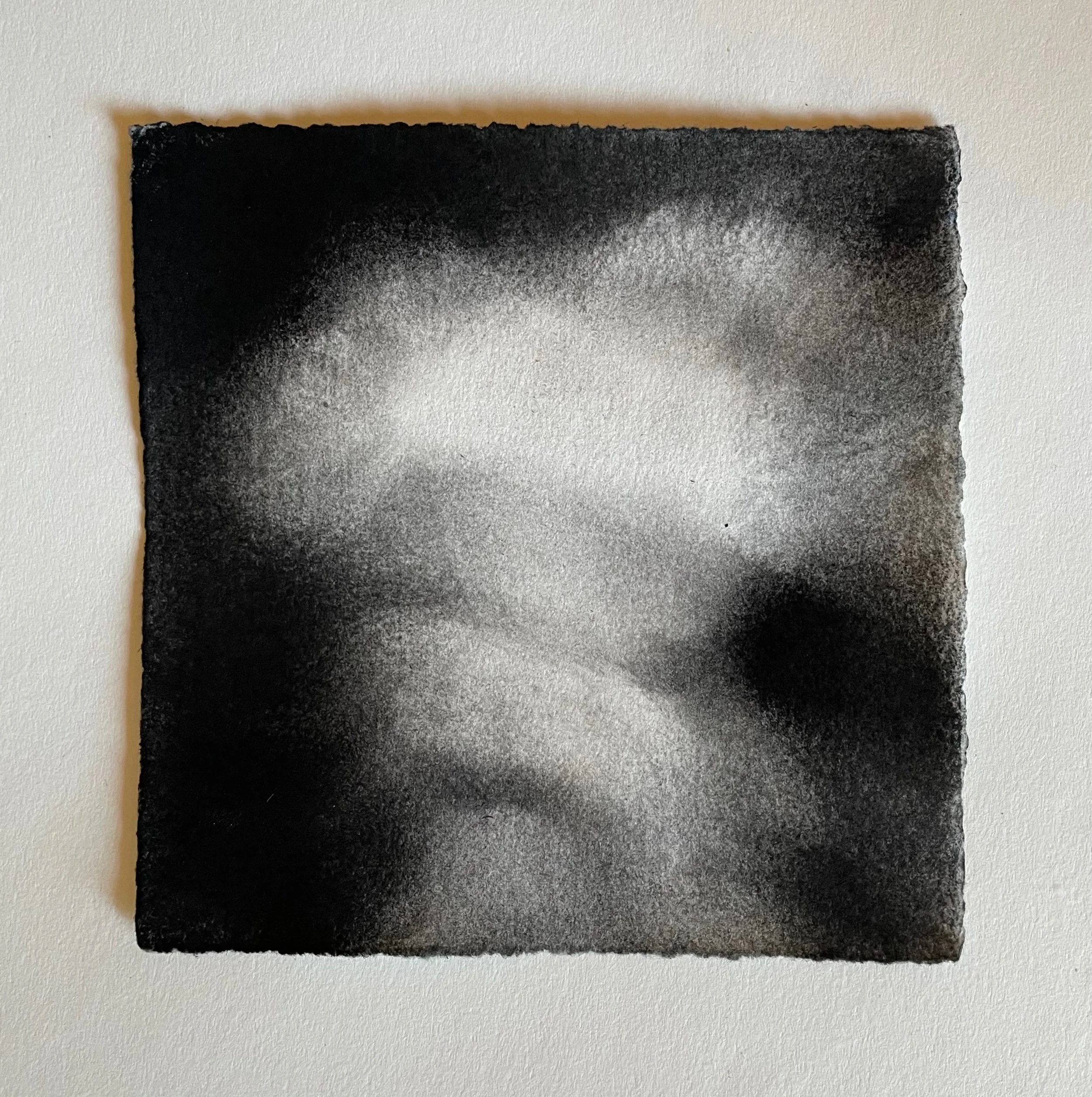  Virtual Garden Day 21  
2021 
charcoal on paper 
5" X 5"
