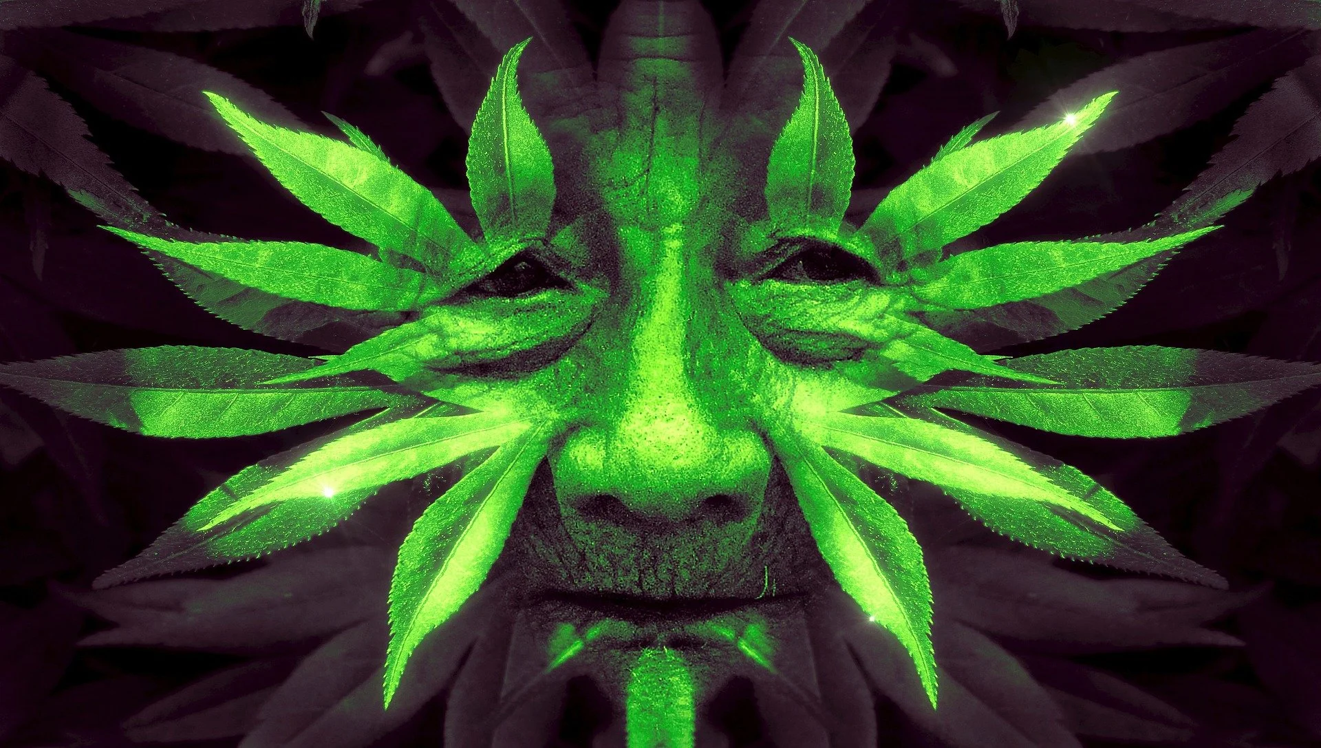 A surreal digital image blending a human face with marijuana leaves, with vibrant green coloring.