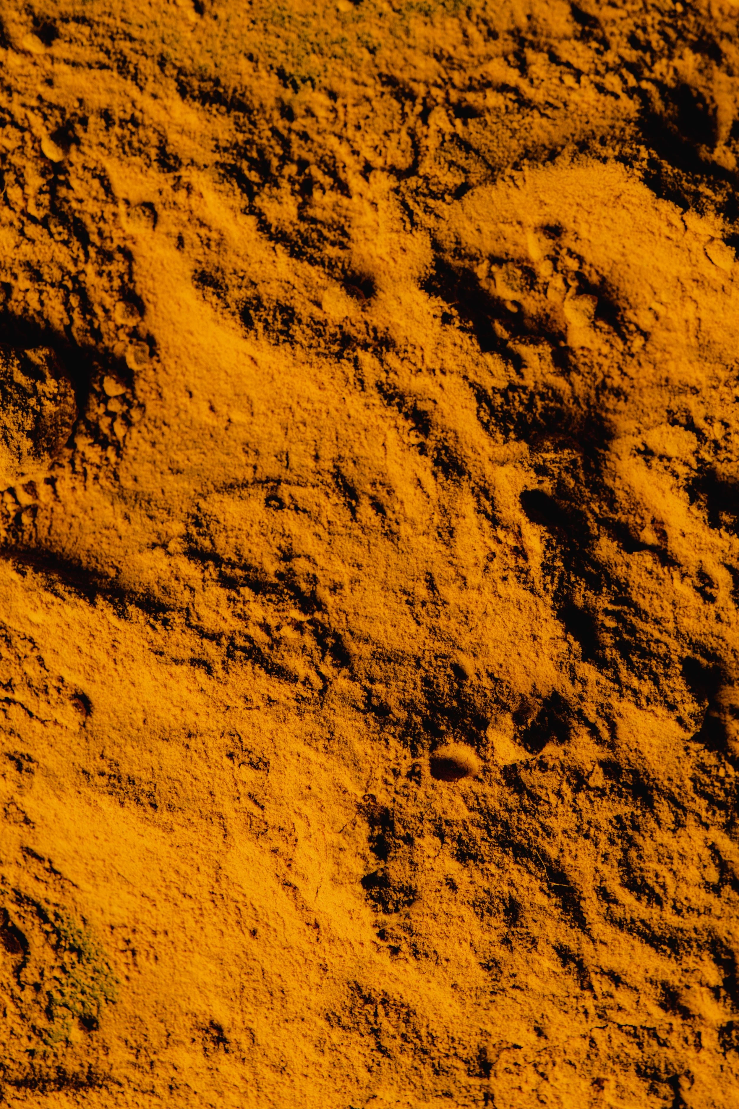 pexels-eva-bronzini-6104651.jpg