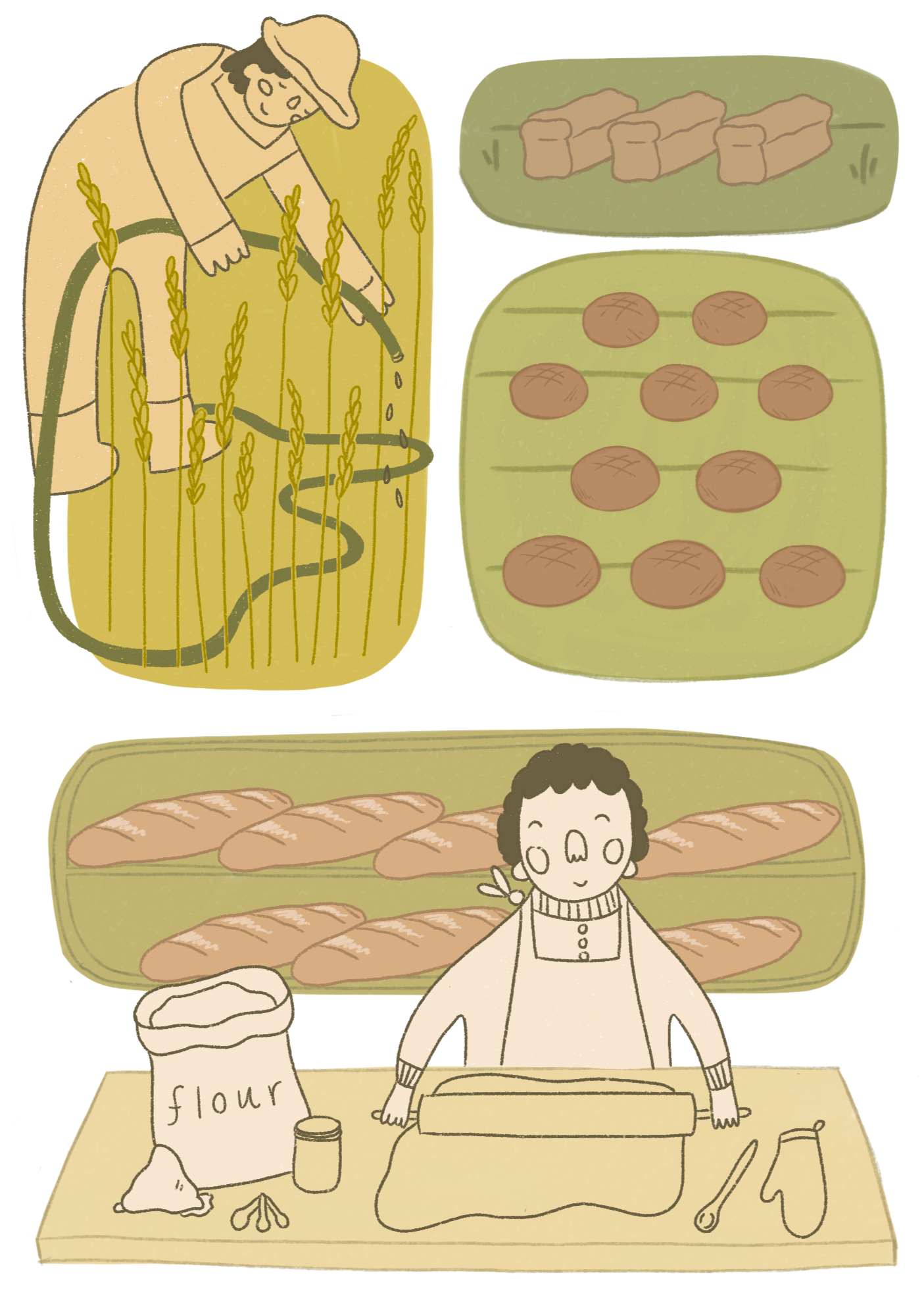 “How the craft flour movement could be a boon to farmers and Indian Country” , NPR