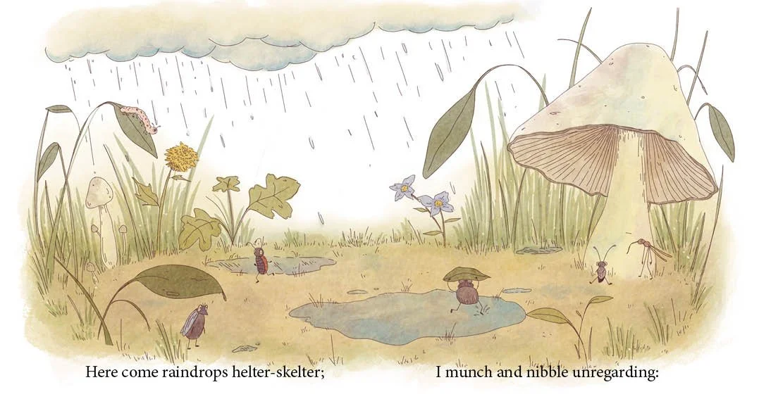 Illustrated children's book The Caterpillar by Robert Graves spread