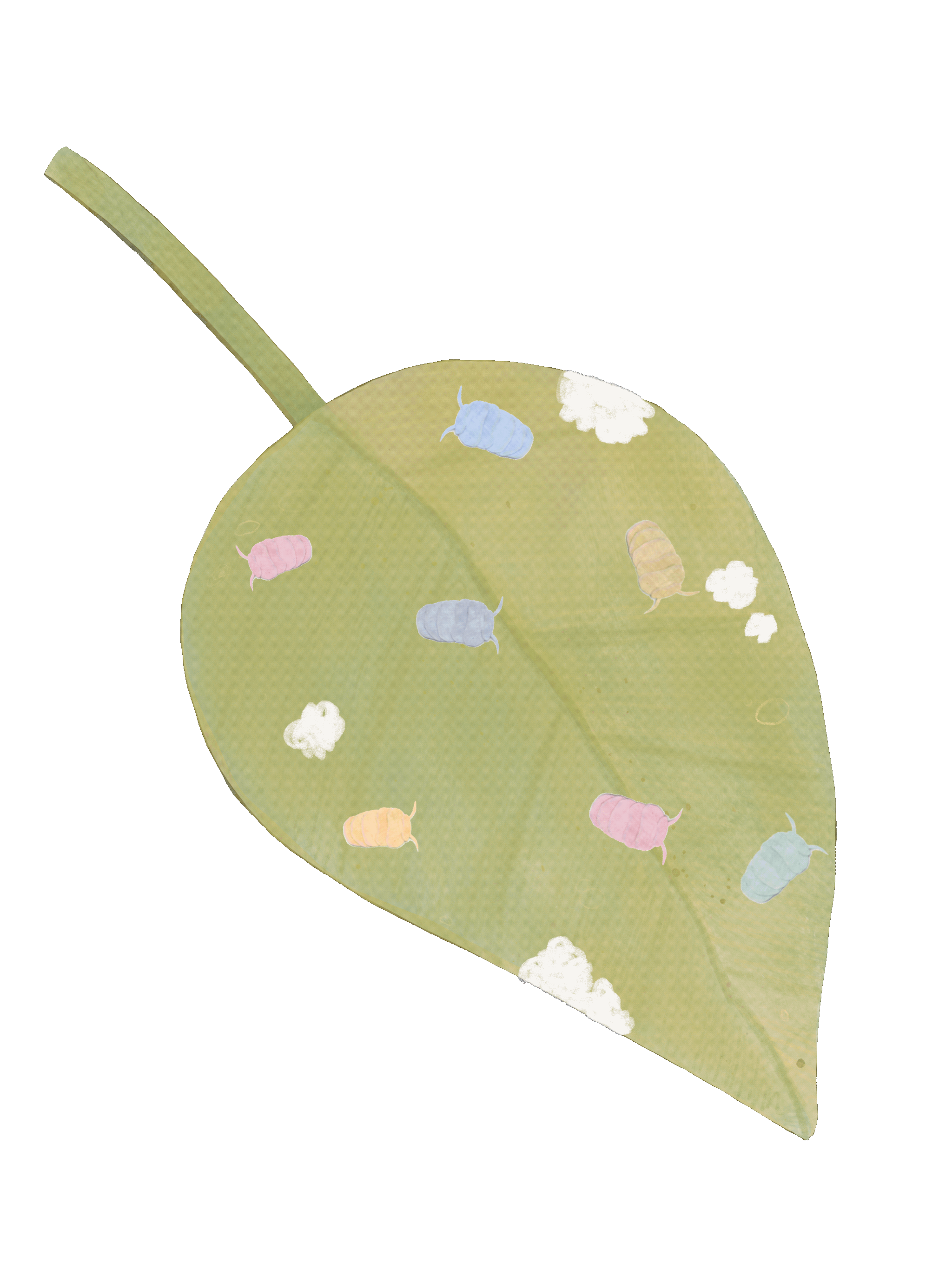 "Which bug chewed my plants last night" article extension service