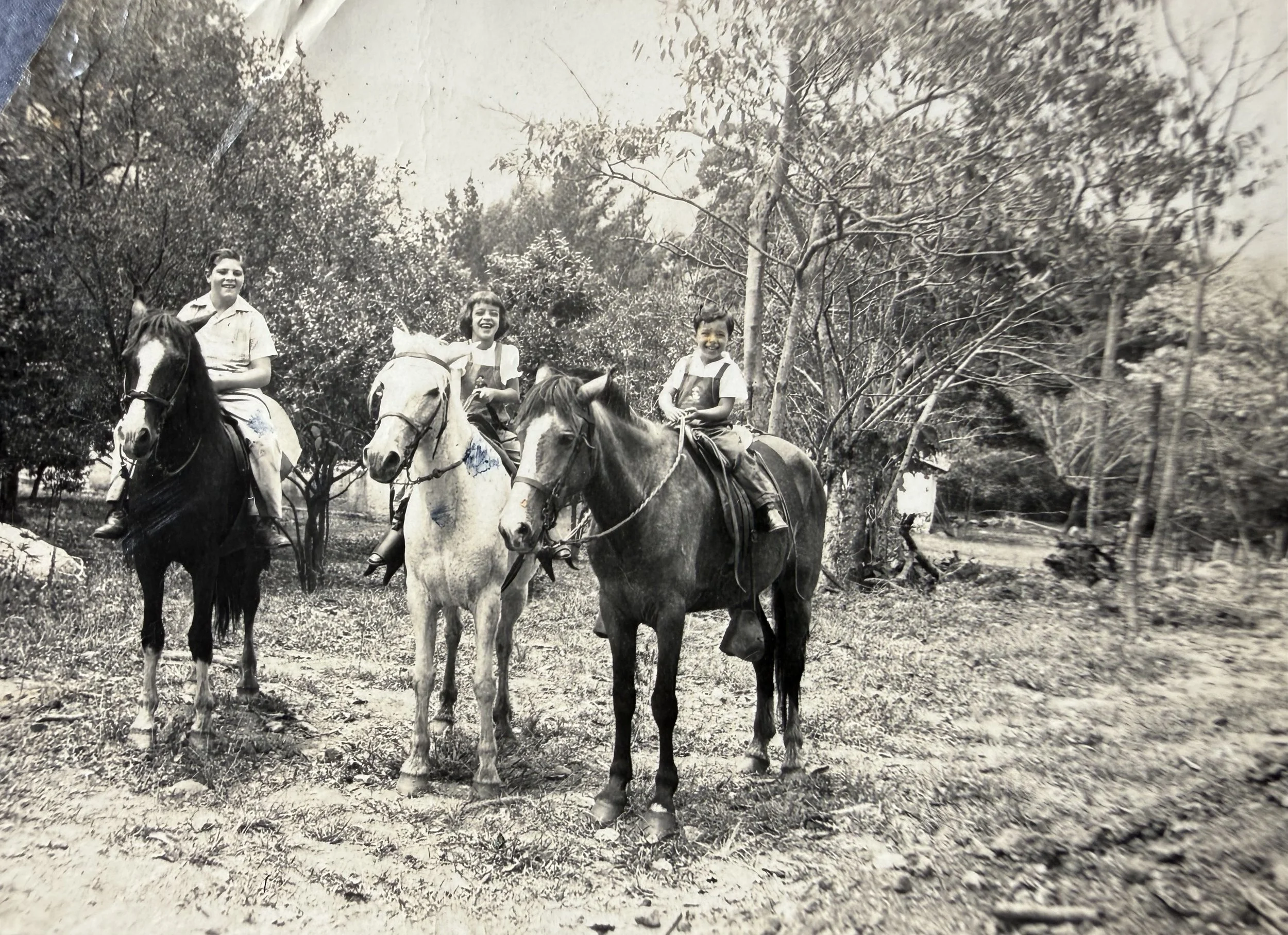 Cuatro niños montados en caballos caminando por un área con árboles, en blanco y negro.
