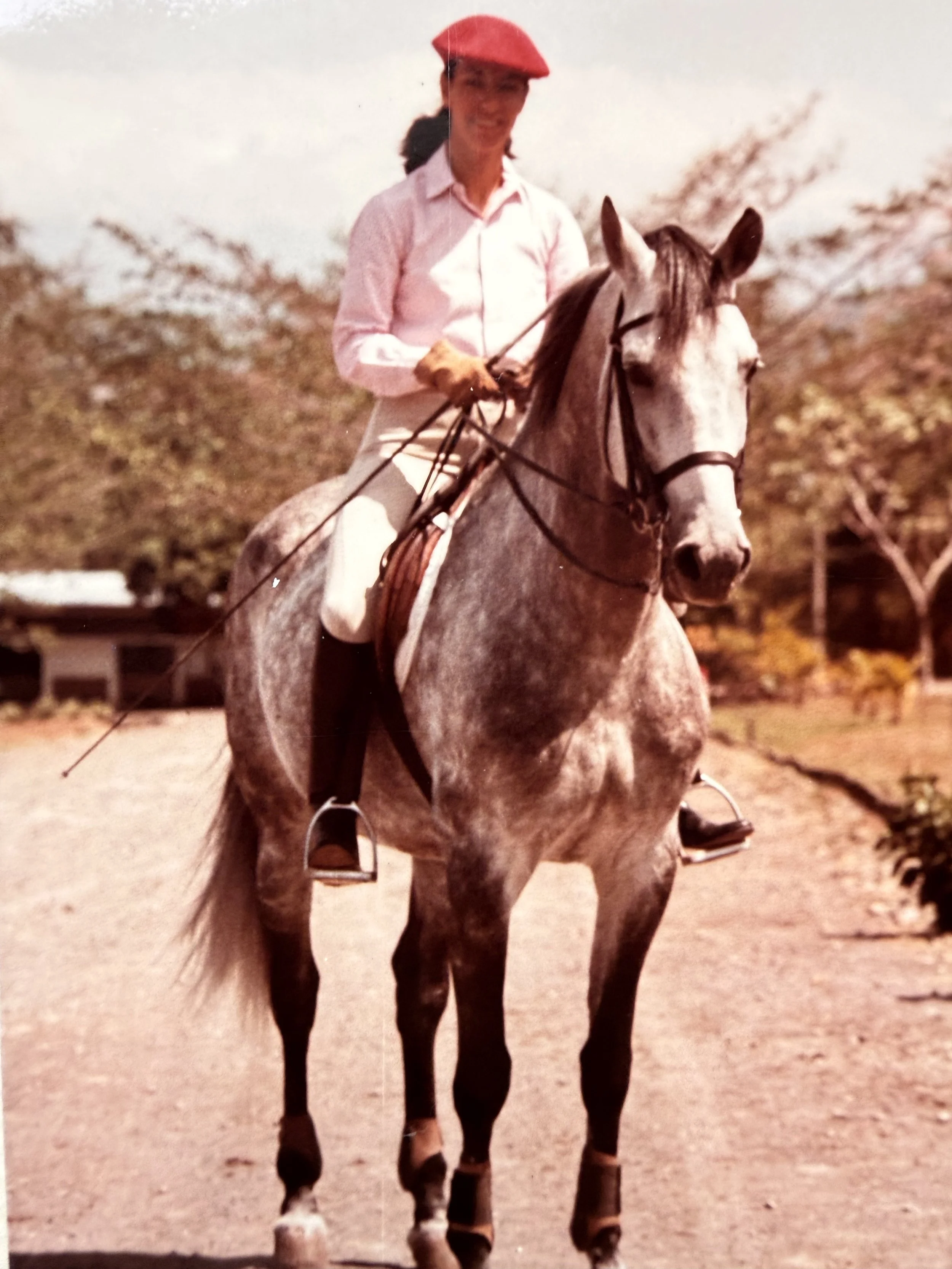Persona montando un caballo en un entorno al aire libre, con árboles y un cielo despejado en el fondo.