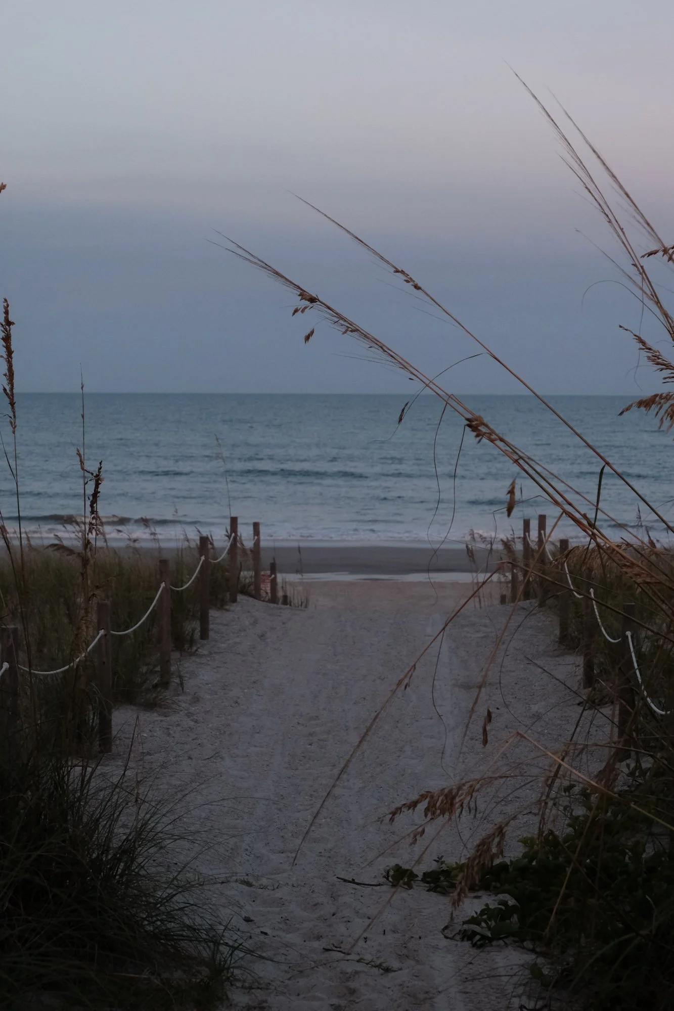 DSCF0919.jpg