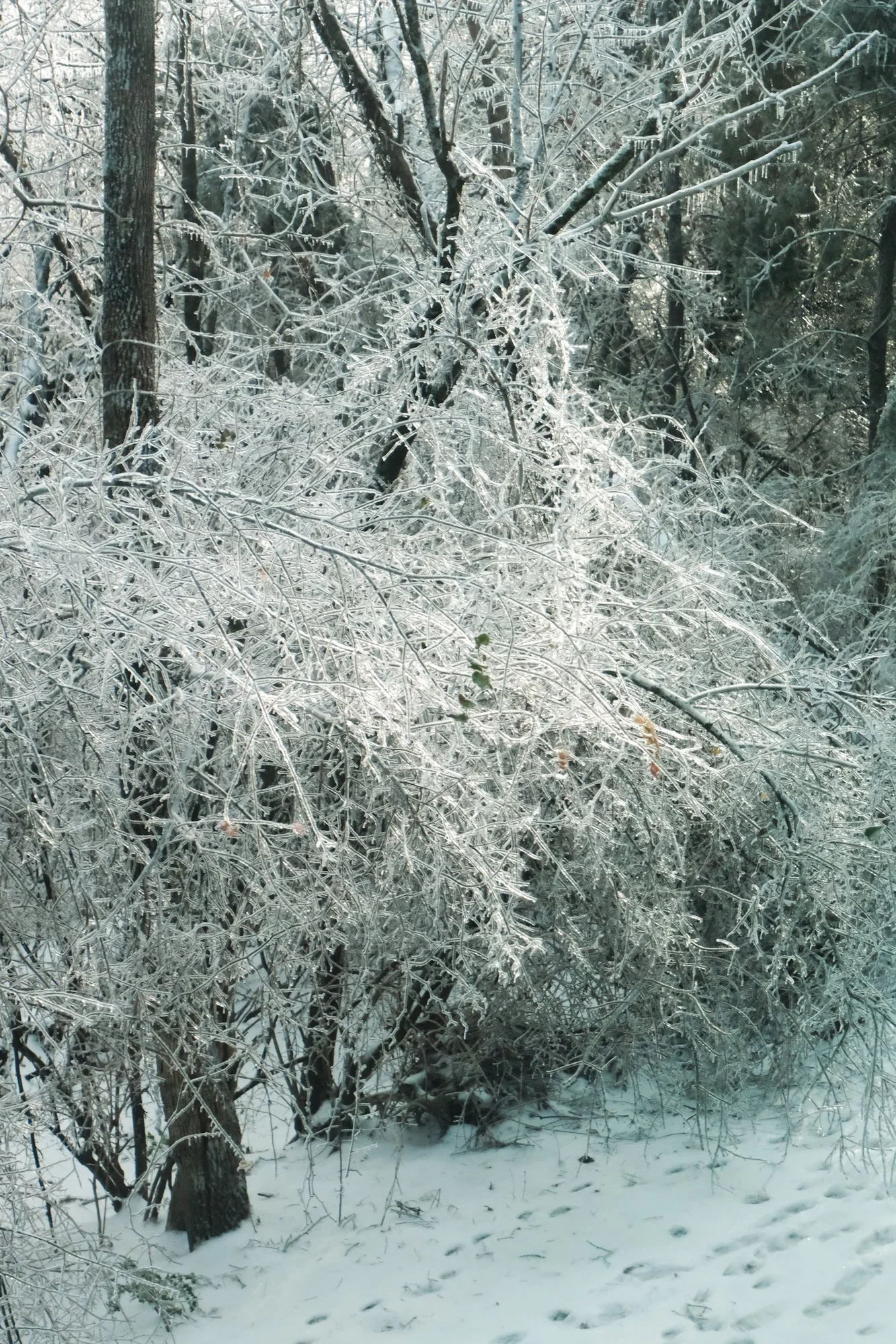 DSCF2064.jpg