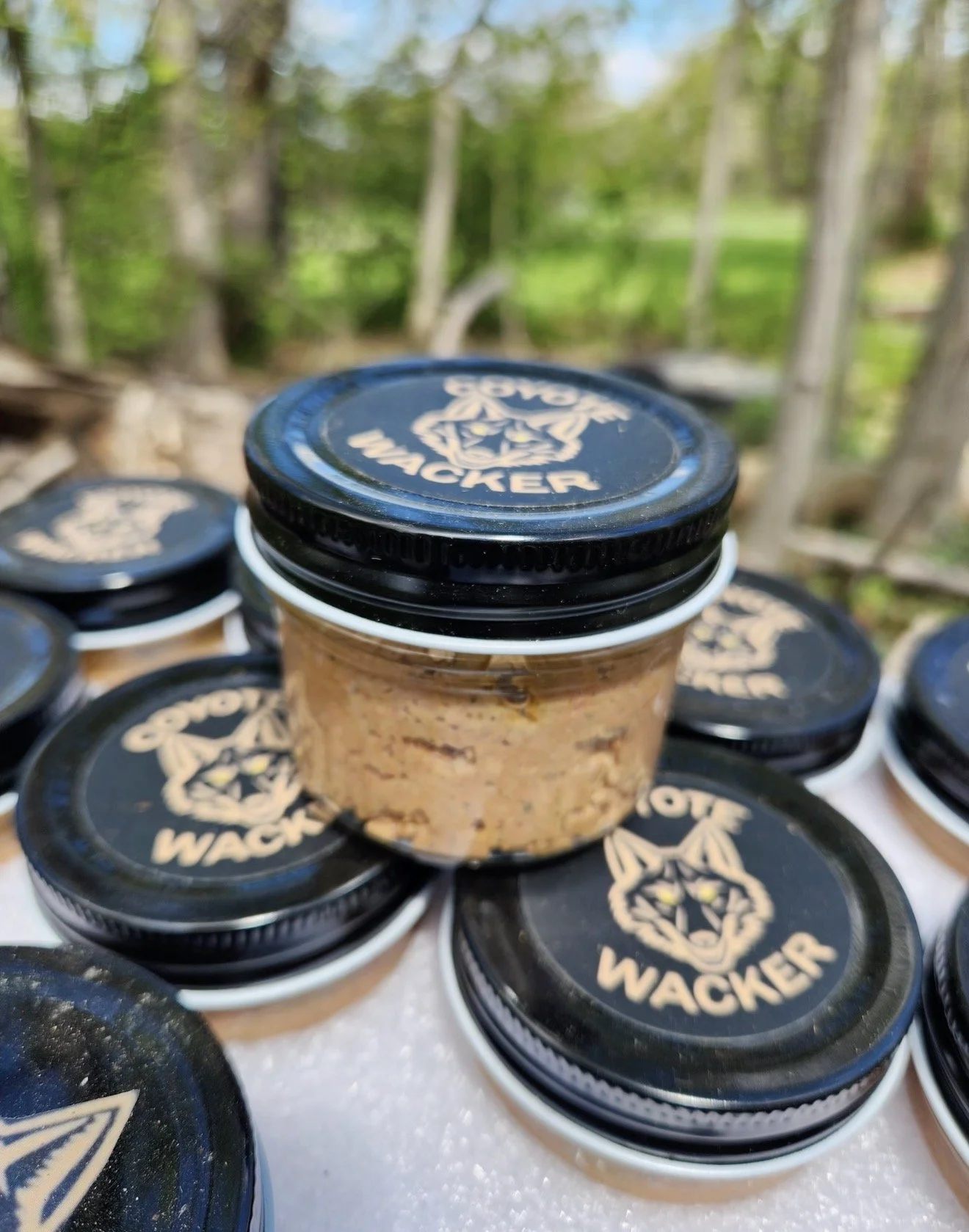 Coyote Bait