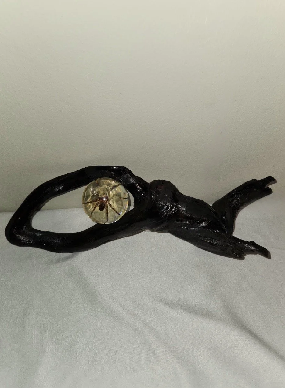 Wolf Spider Decor