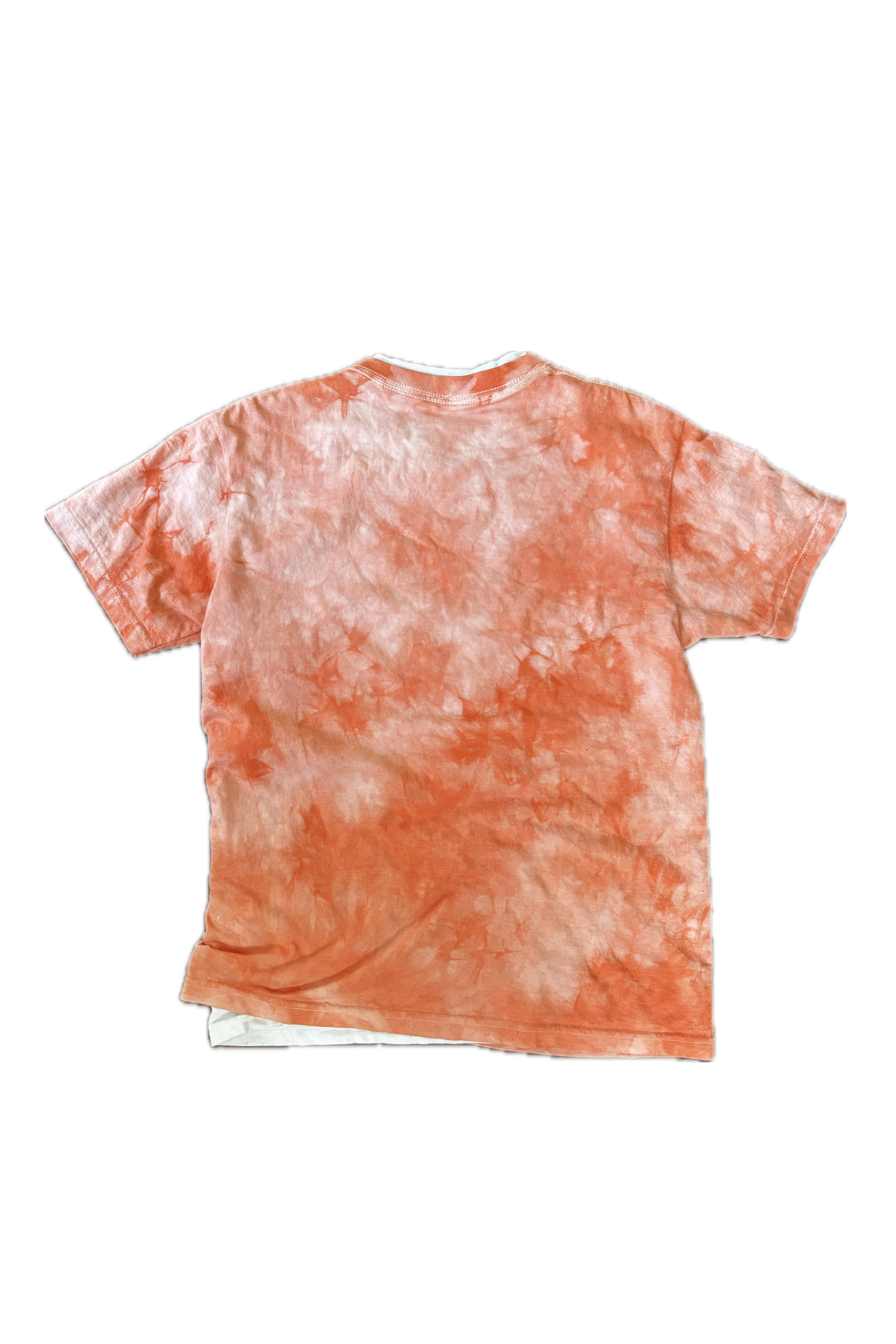 %5B003%5DGenesisShirtBack.png