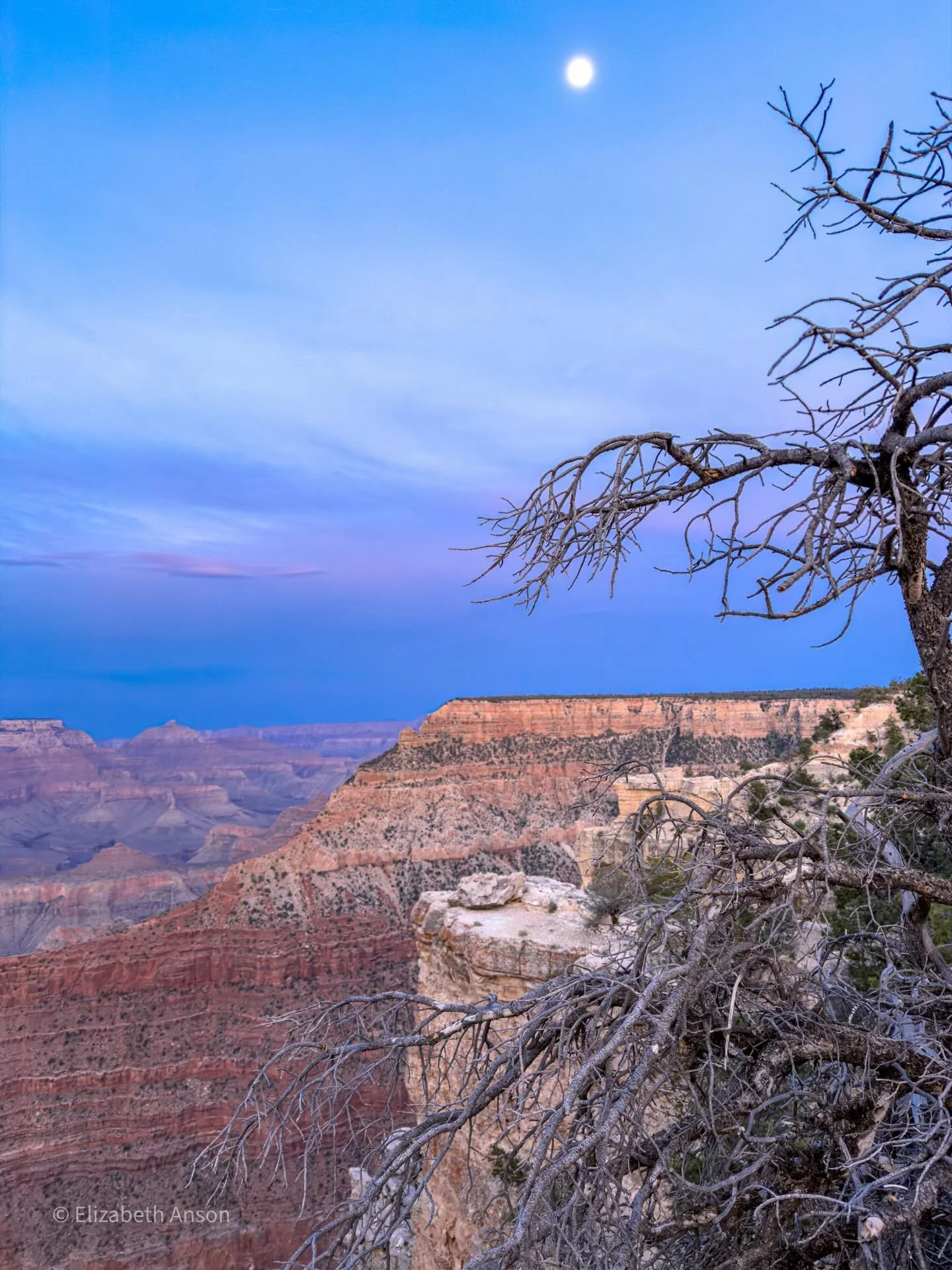 Astronauts often return to Earth and describe having had a profound realisation upon seeing the Earth, hanging alone in the inky blackness. They say that it suddenly becomes clear that we live on a tiny, delicate planet in a very large universe and t