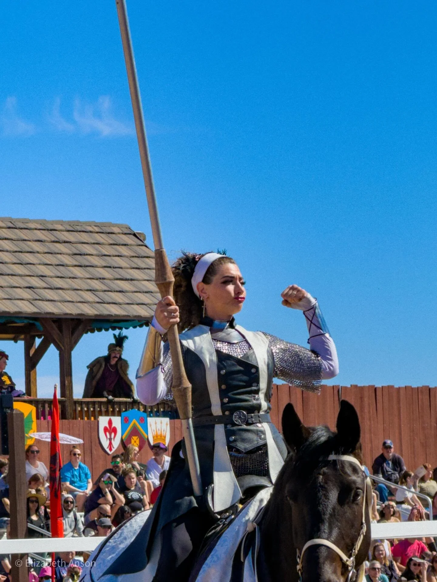 I always look forward to seeing @the_jousters at the @arizona_renaissance_festival. Their blend of humor, excitement, and talent is unbeatable. This weekend, I took my four year old niece to her first tournament, and it was fantastic to see Countess 