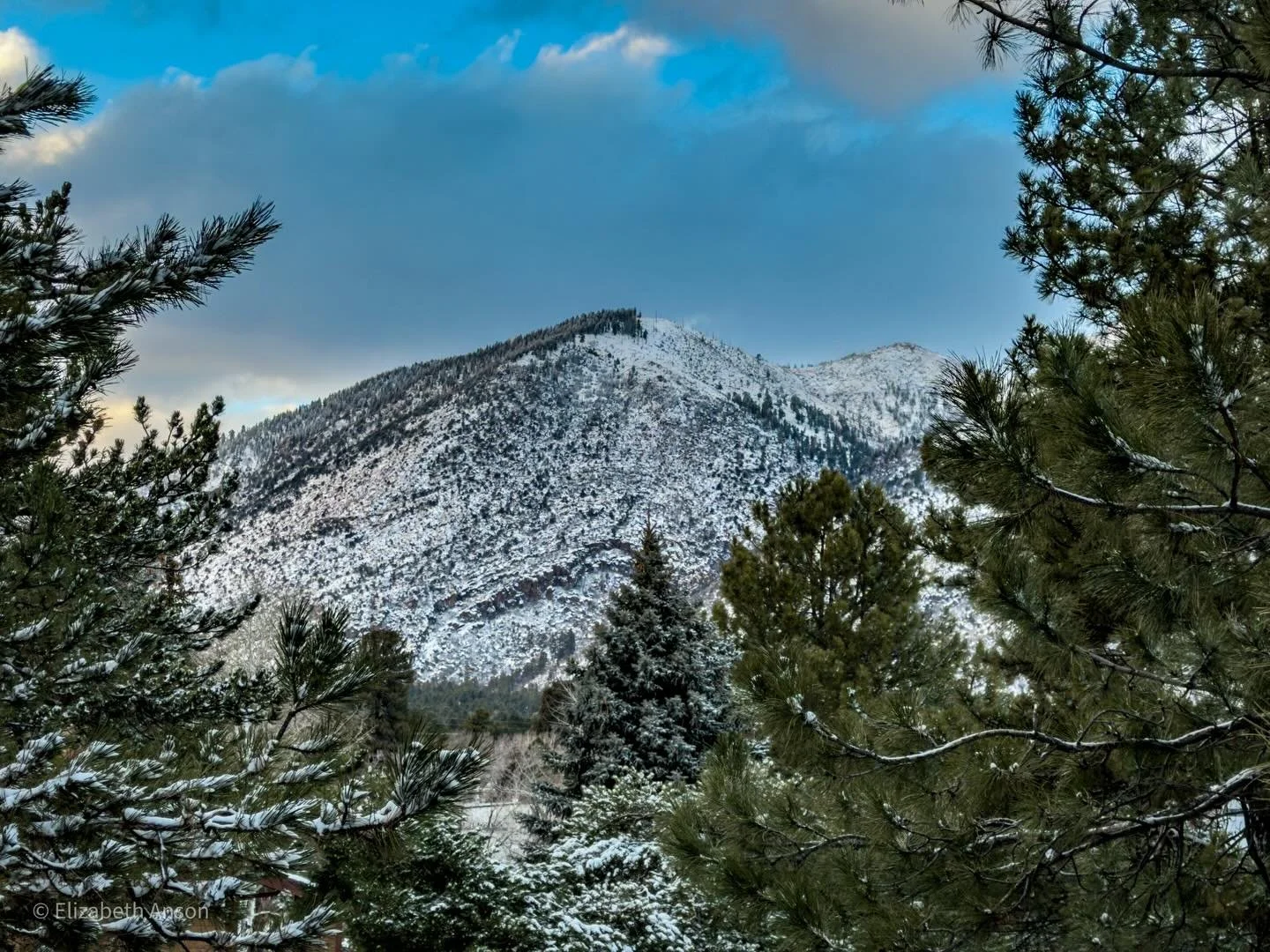 Moving to Flagstaff remains one of the best choices I&rsquo;ve made. This place is stunning!

#photography #flagstaff #arizona #snow #winter
