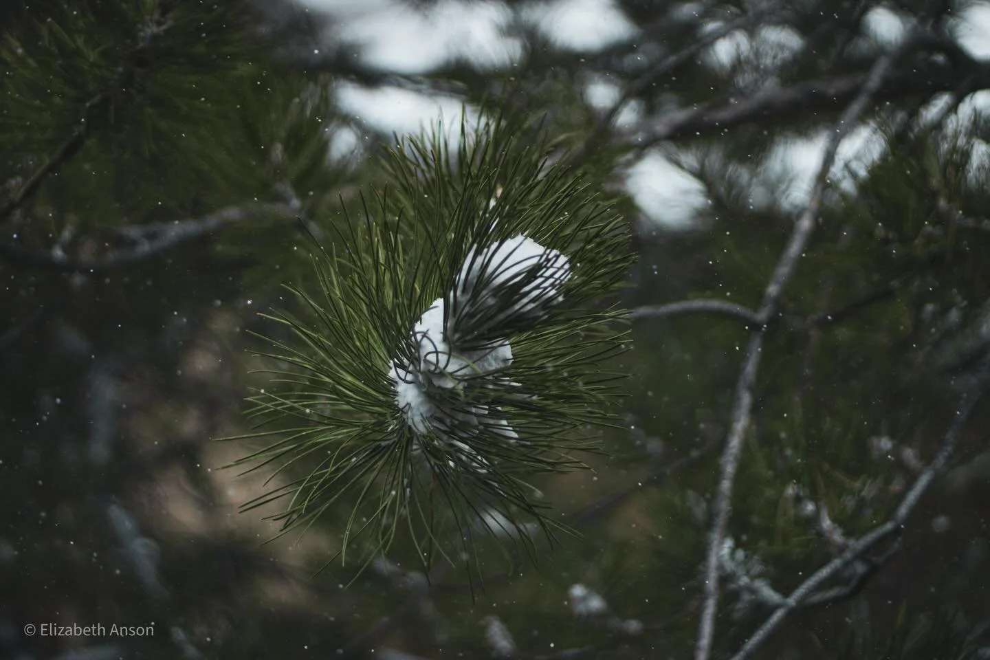 As the storm rolls in and finally some snow!! 
.
.
.

#flagstaff #arizona #snow #winter #photography