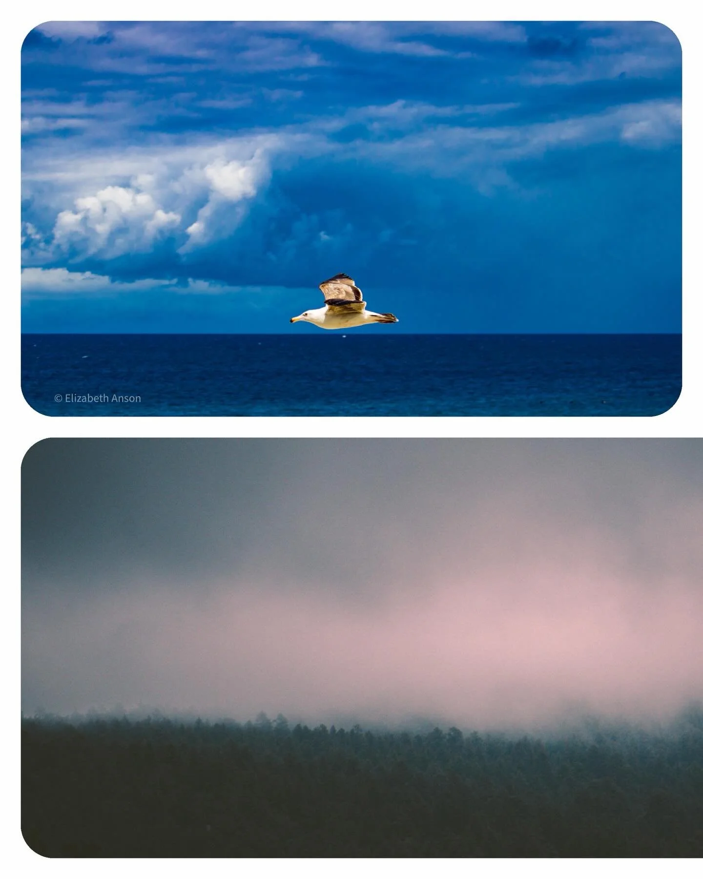 Happy Earth Day! 

#photography #earthday #earth #nature #wildlife