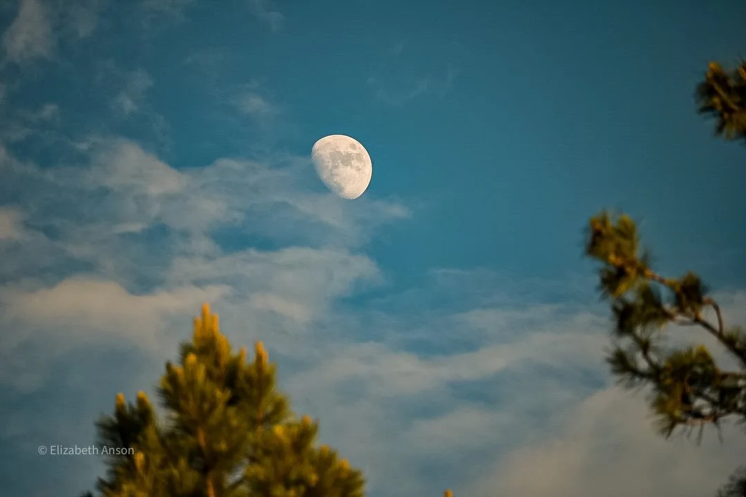 Sunset is always my favourite time of day

#photography #sunset #moon #mountains #flagstaffaz