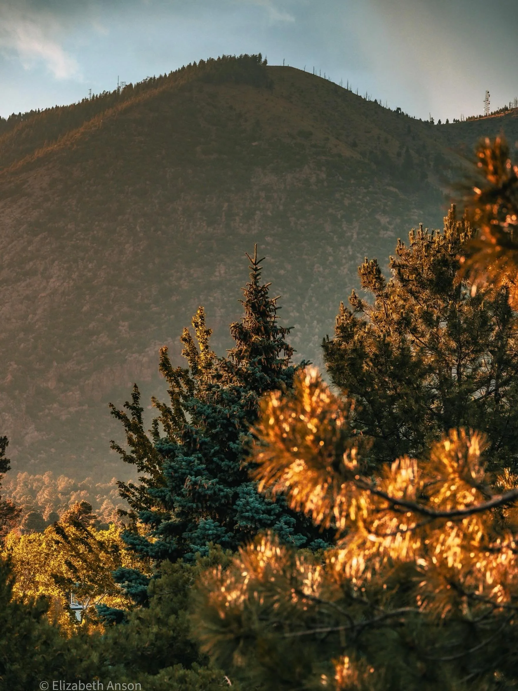 I have a trillion pictures of this exact mountain and these exact trees from this exact angle because this is the view from my front porch and it&rsquo;s an easy place to practice. This is one I posted on a story recently that I thought deserved its 
