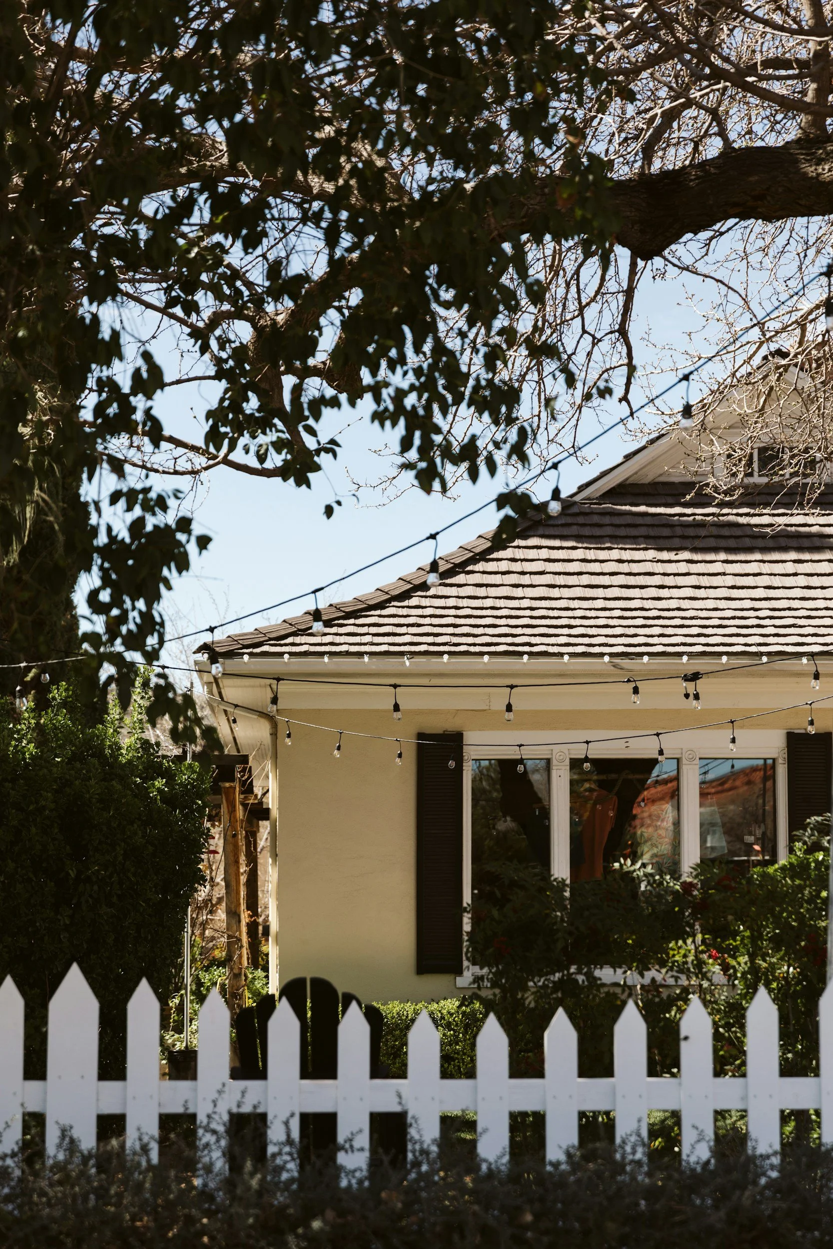 A house with a window, string lights hanging across the yard, and a white picket fence in the foreground. There's a large tree with bare branches and some green leaves above the house.