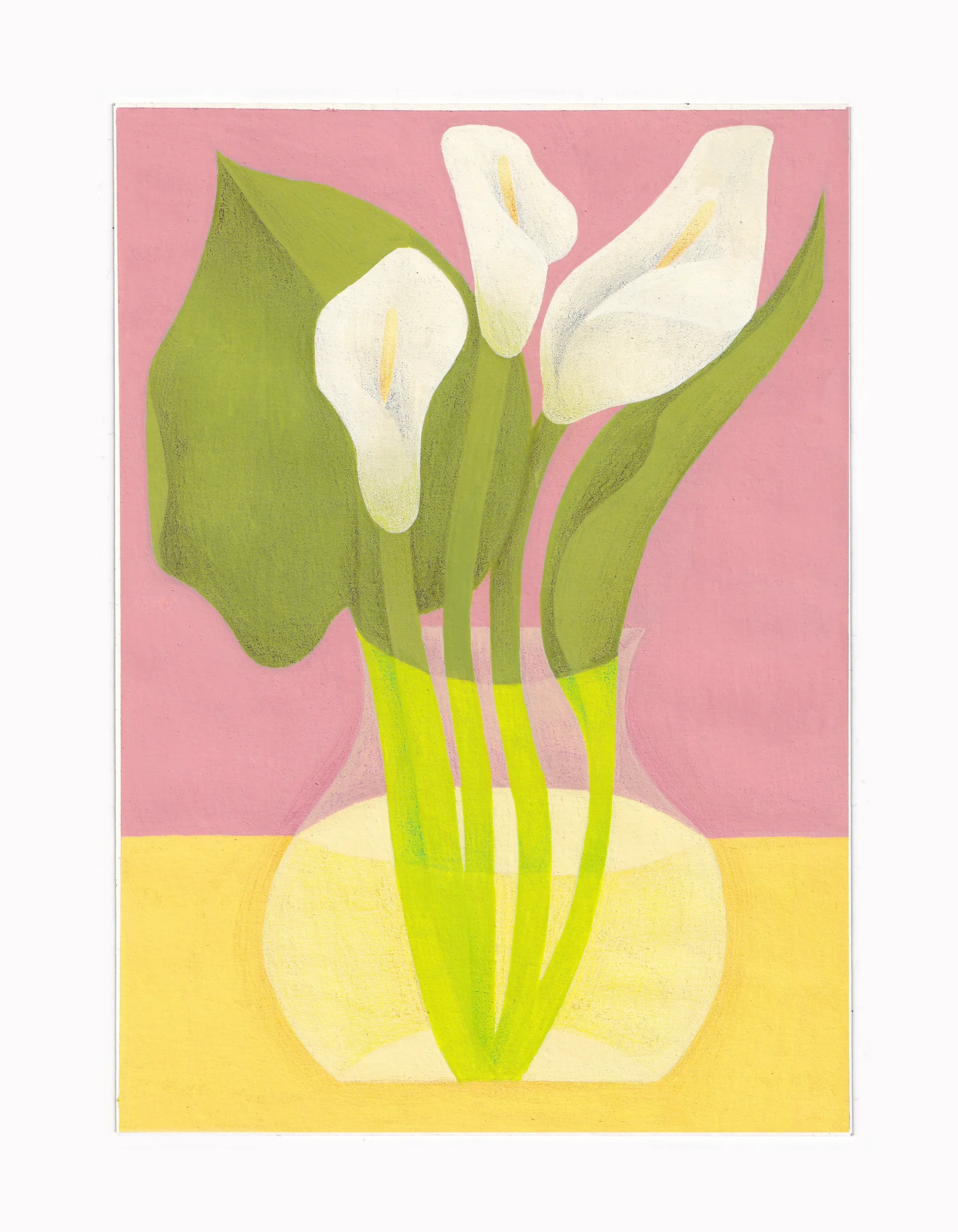 calla lilies.webp