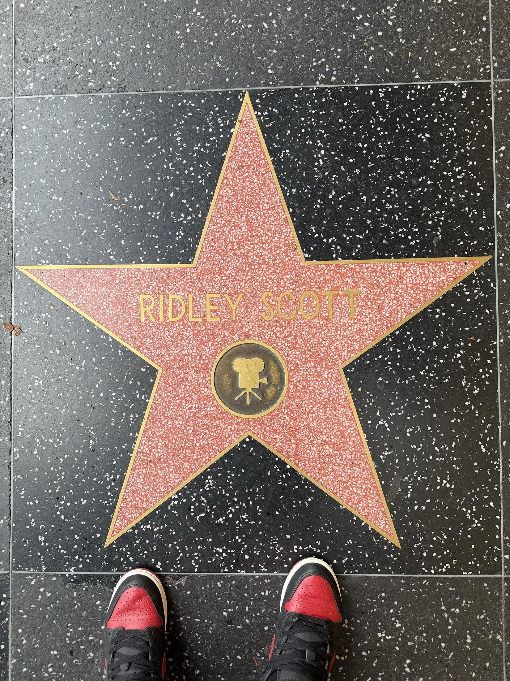 star_ridley_scott.jpg